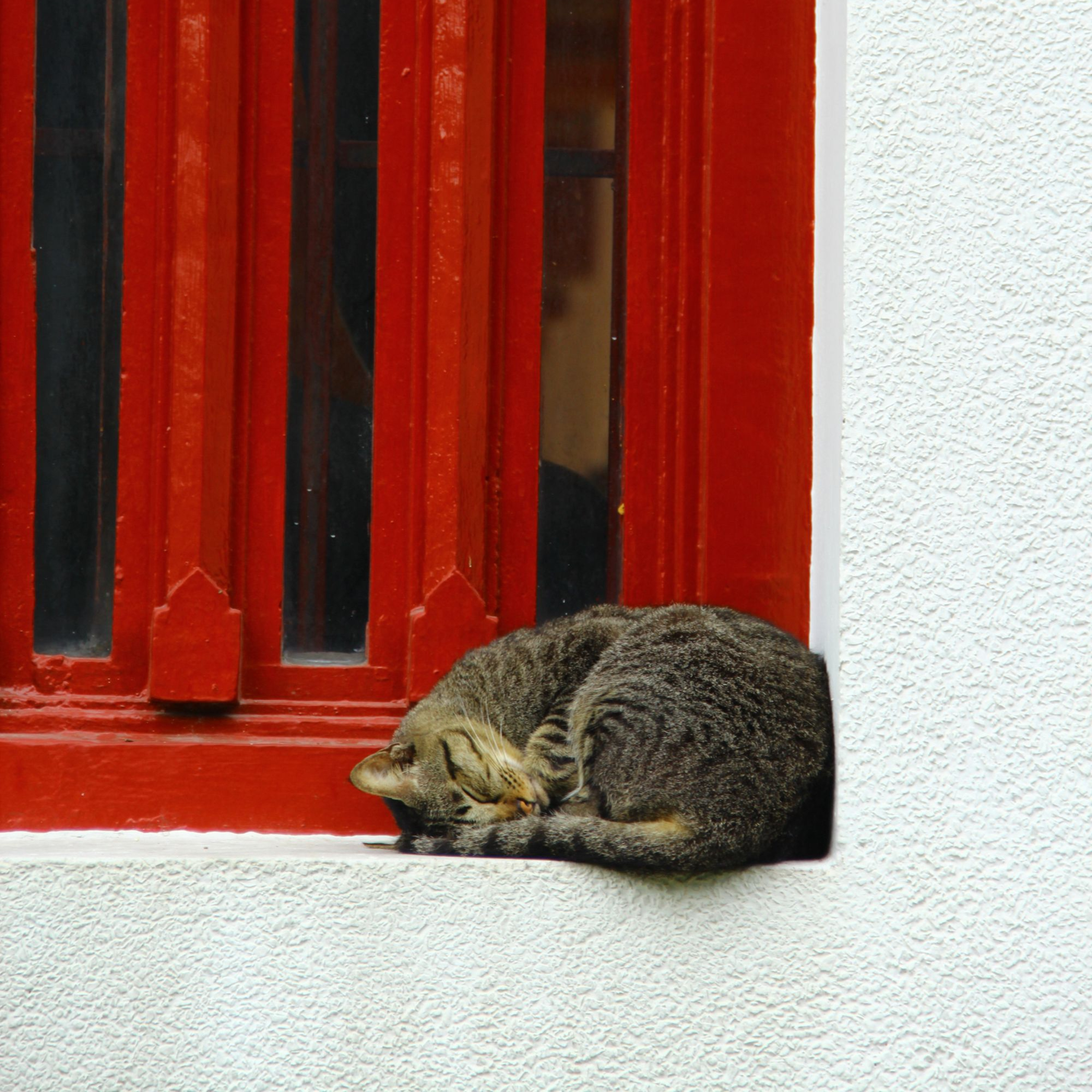 Reluctantly Quiet