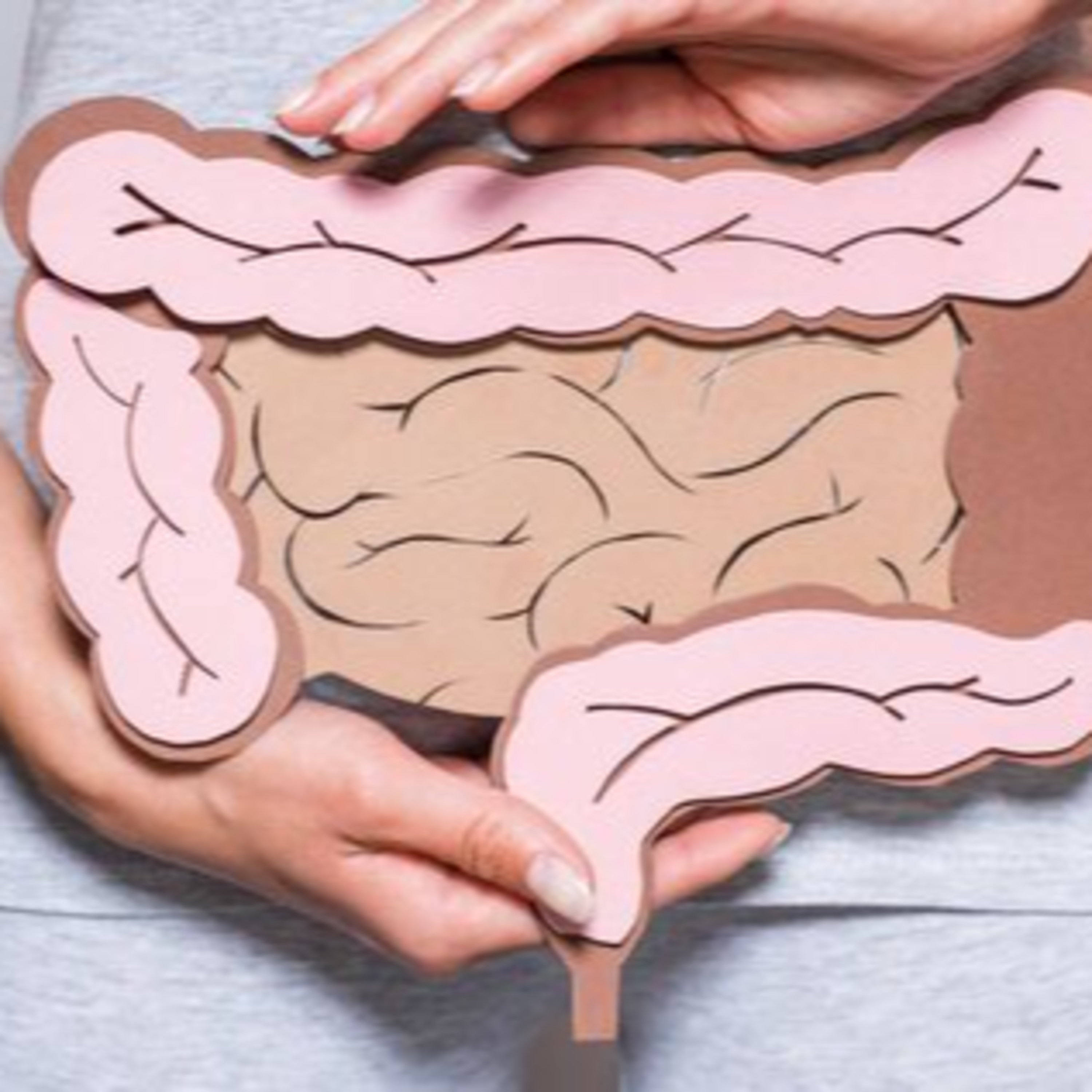Episodio 142. CMM, una forma natural de limpiar tu intestino y prevenir patologías digestivas. episode artwork