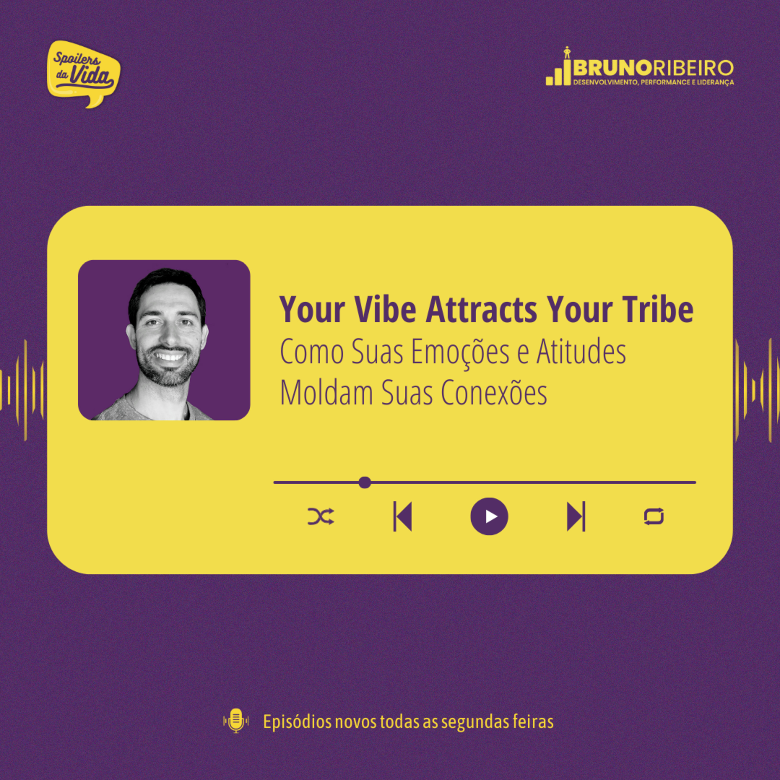 Your Vibe Attracts Your Tribe: Como Suas Emoções e Atitudes Moldam Suas Conexões episode artwork