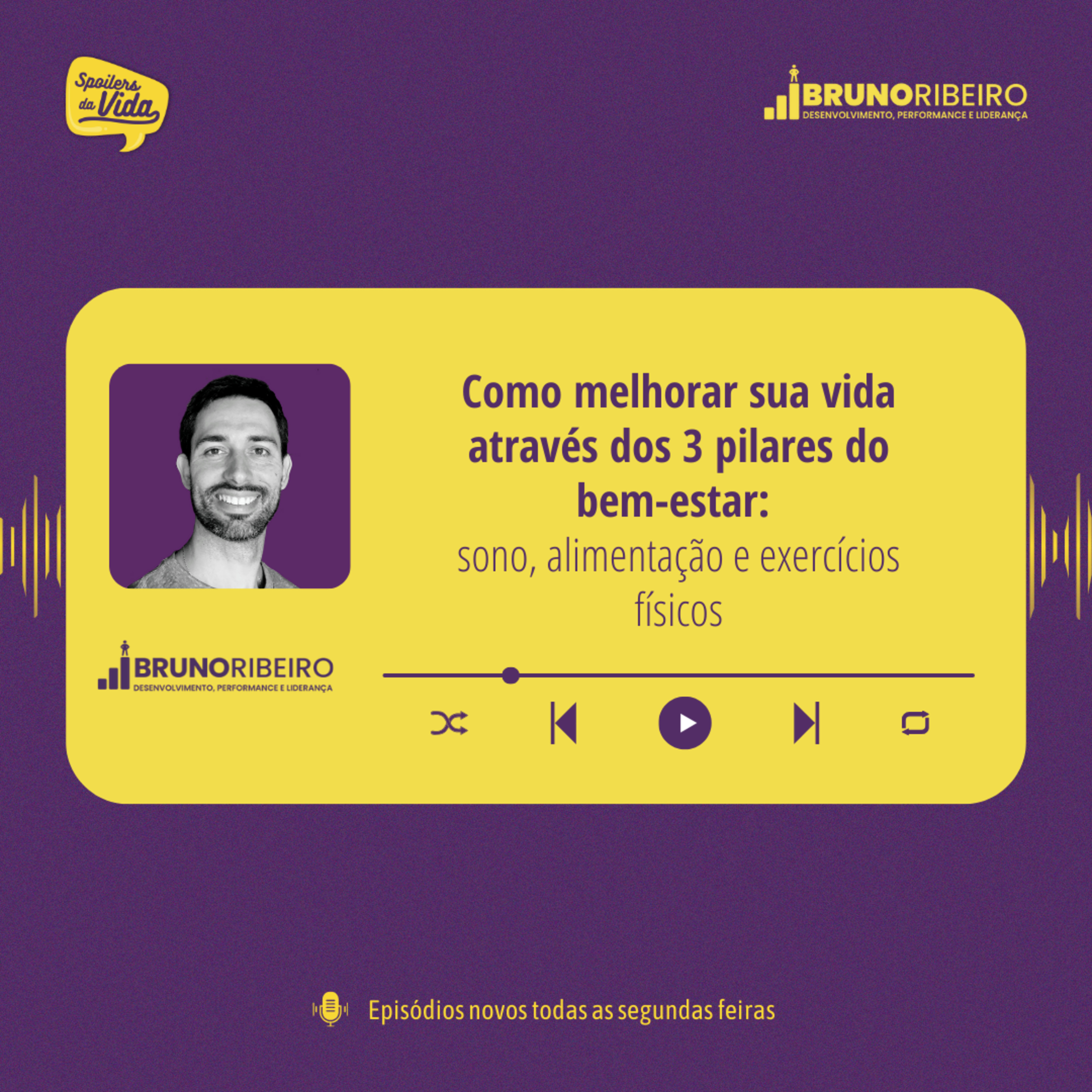 Como melhorar sua vida através dos 3 pilares do bem-estar: sono, alimentação e exercícios físicos episode artwork