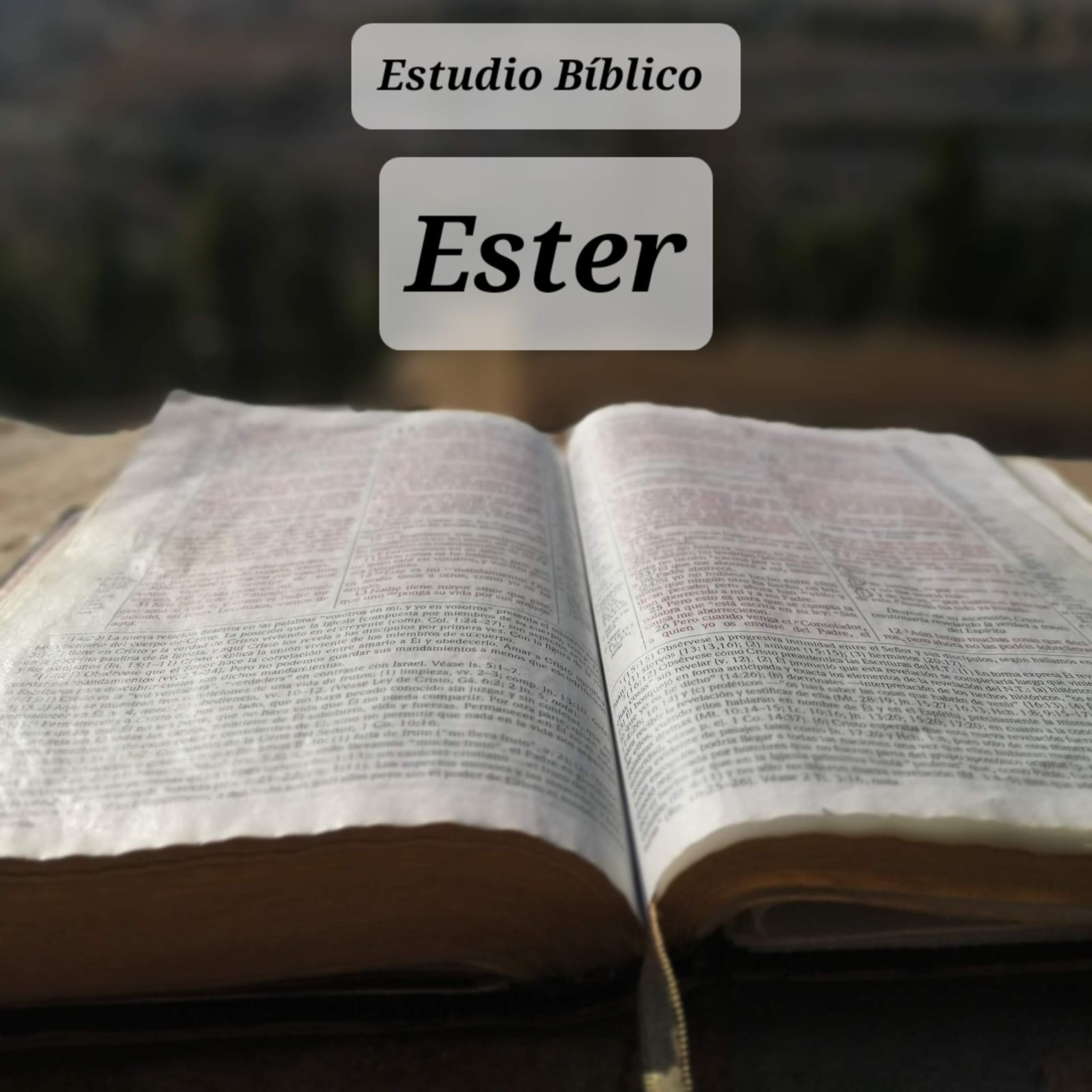 Portada de Estudio Biblico GT