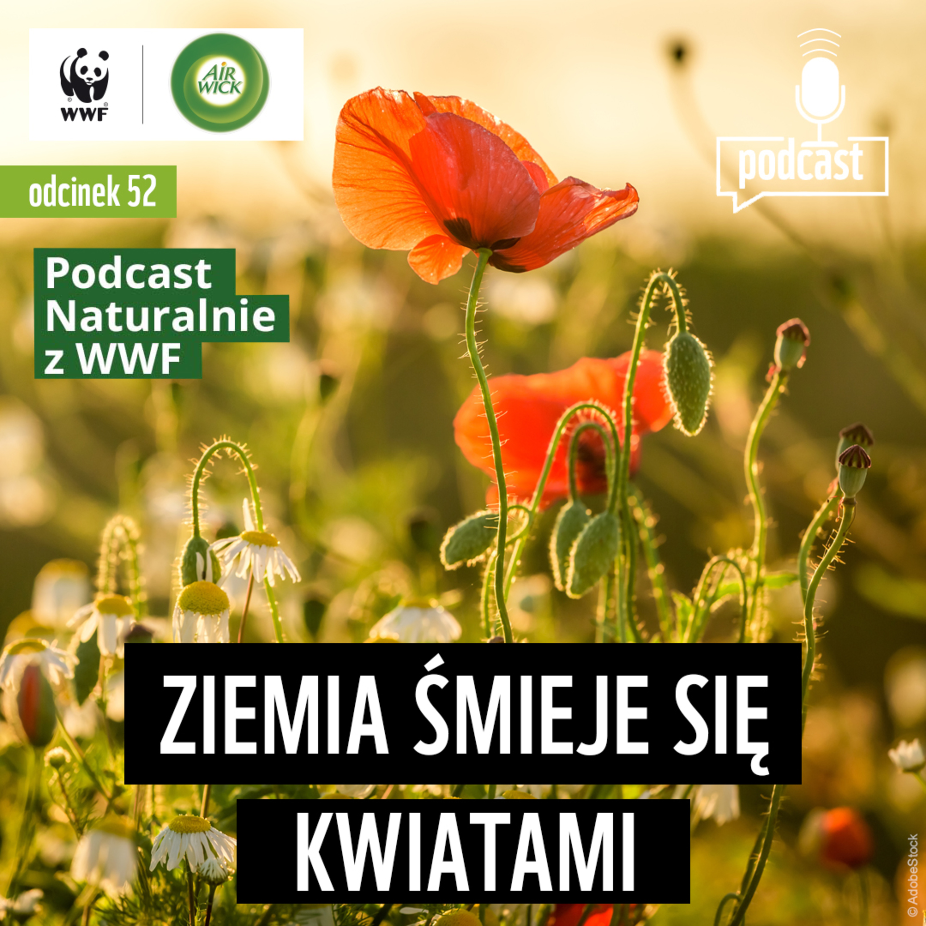 Ziemia śmieje się kwiatami