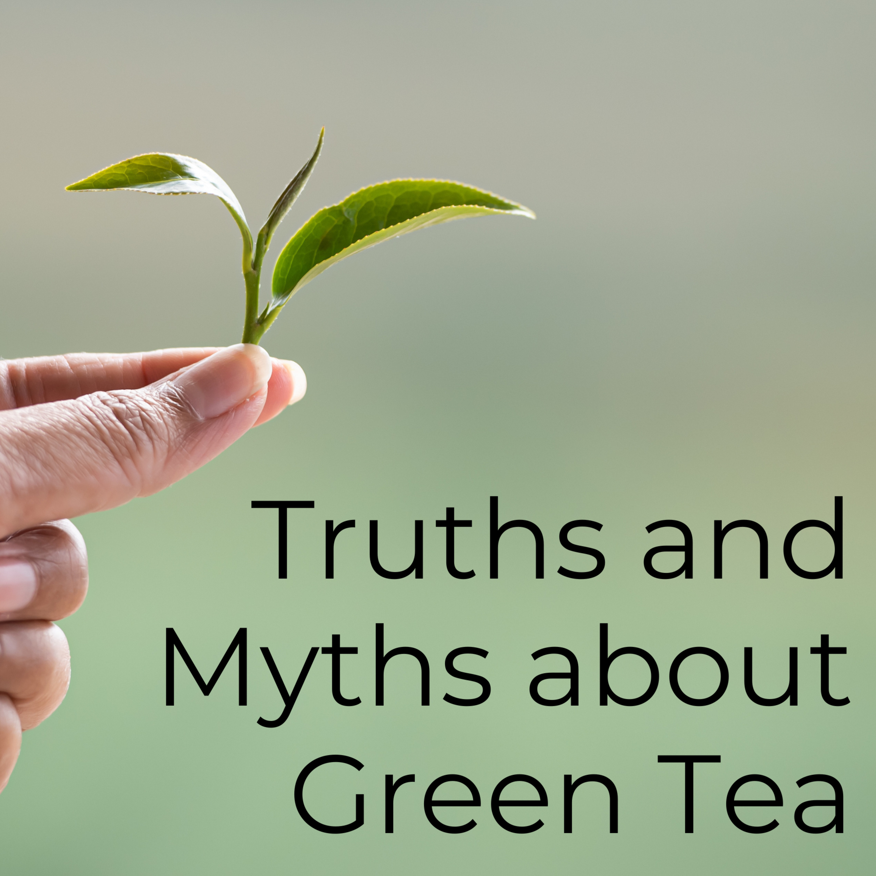 Japanese Green Tea Podcast