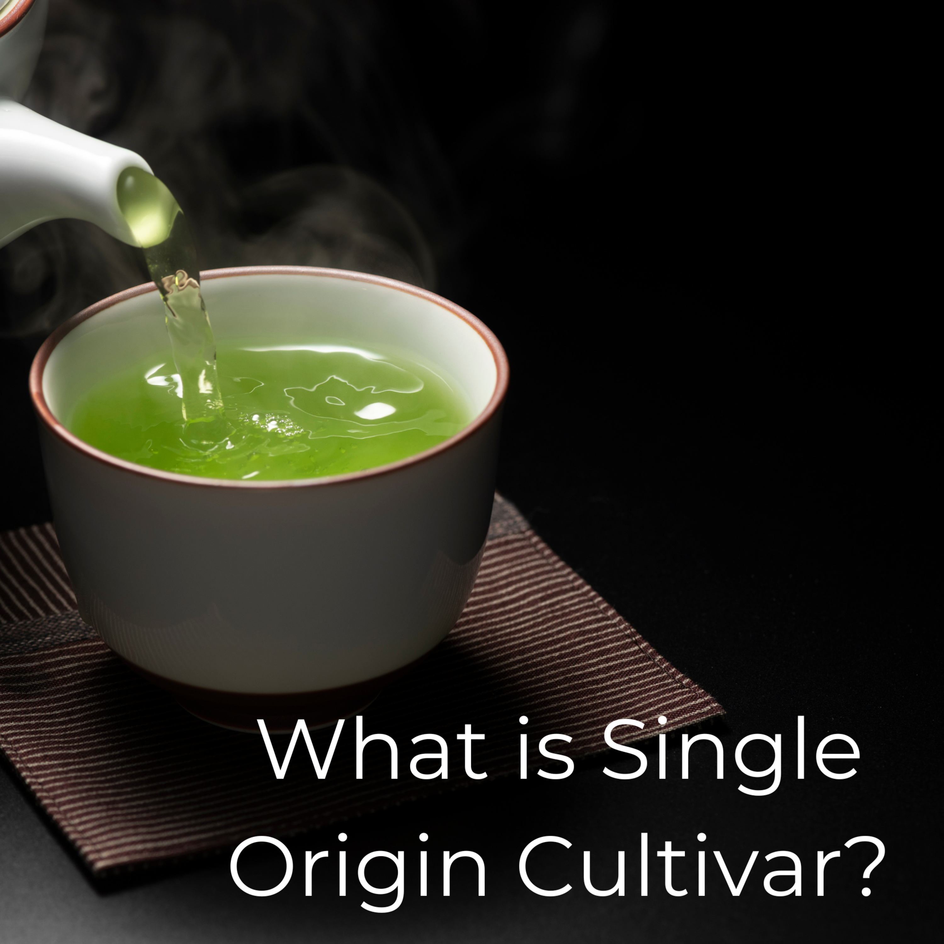 Japanese Green Tea Podcast
