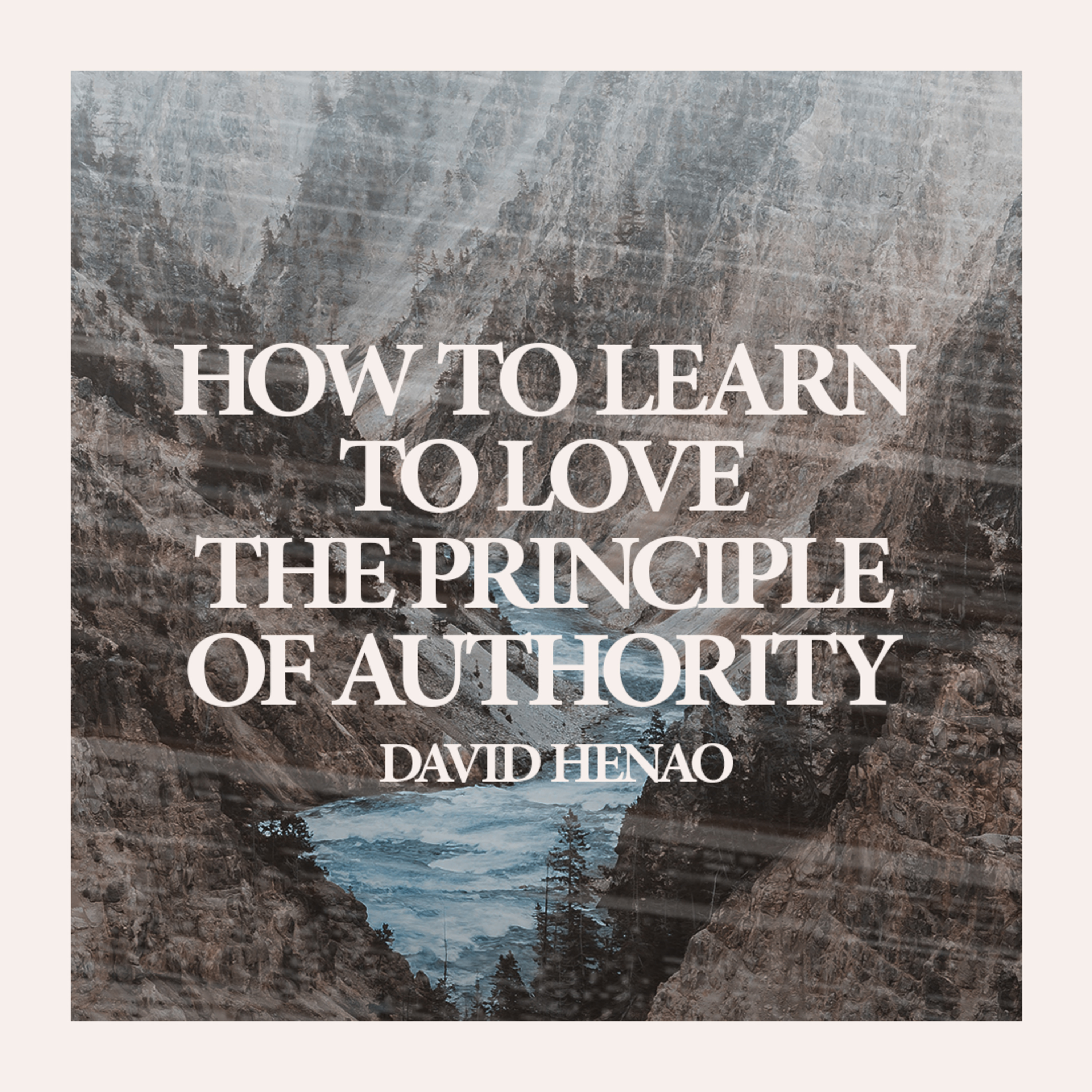 #357- 🇬🇧 How To Learn To Love The Principle Of Authority | David Henao #CCILondon episode artwork
