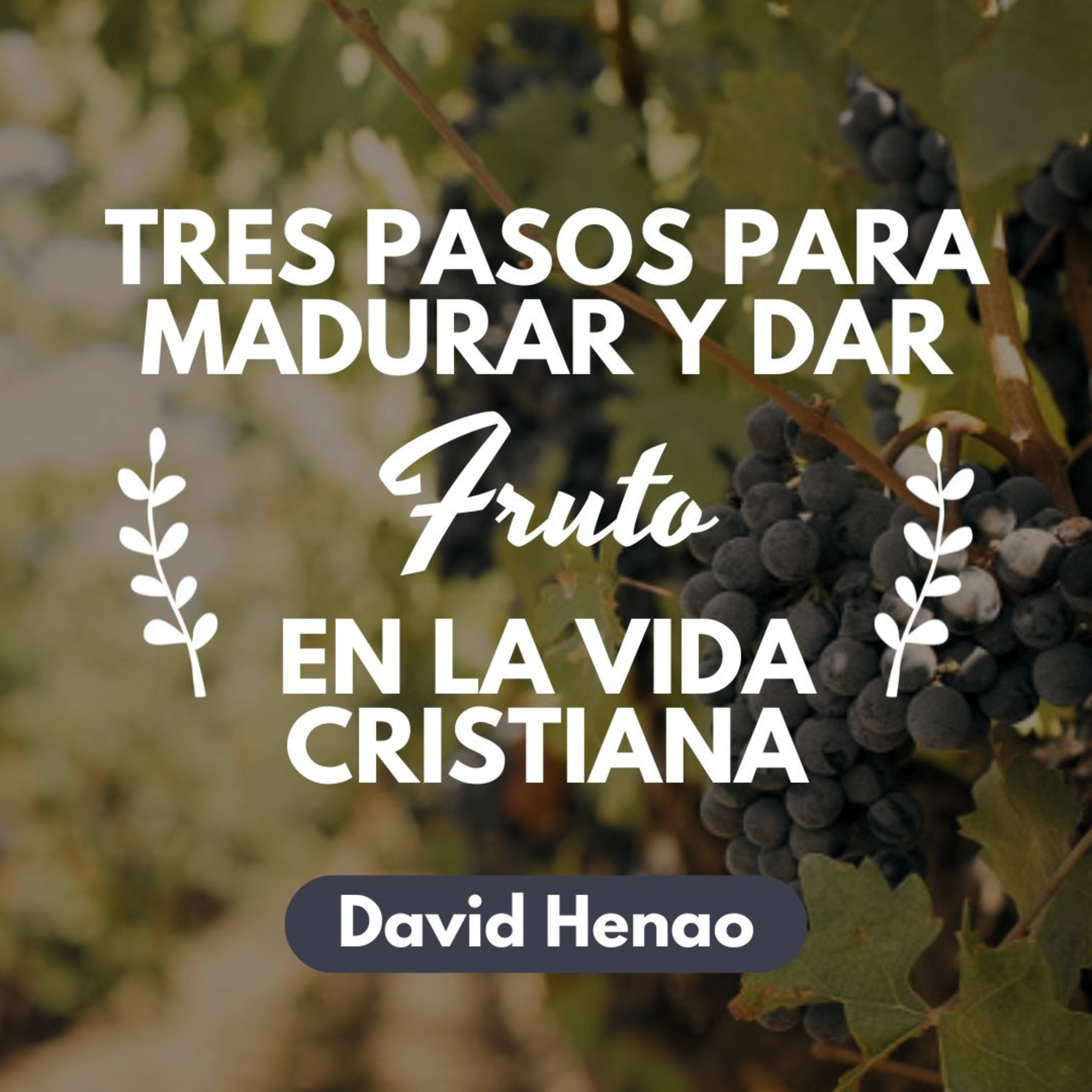 #408- 🇪🇸 Tres Pasos Para Madurar Y Dar Fruto En La Vida Cristiana | David Henao #CCILondon episode artwork