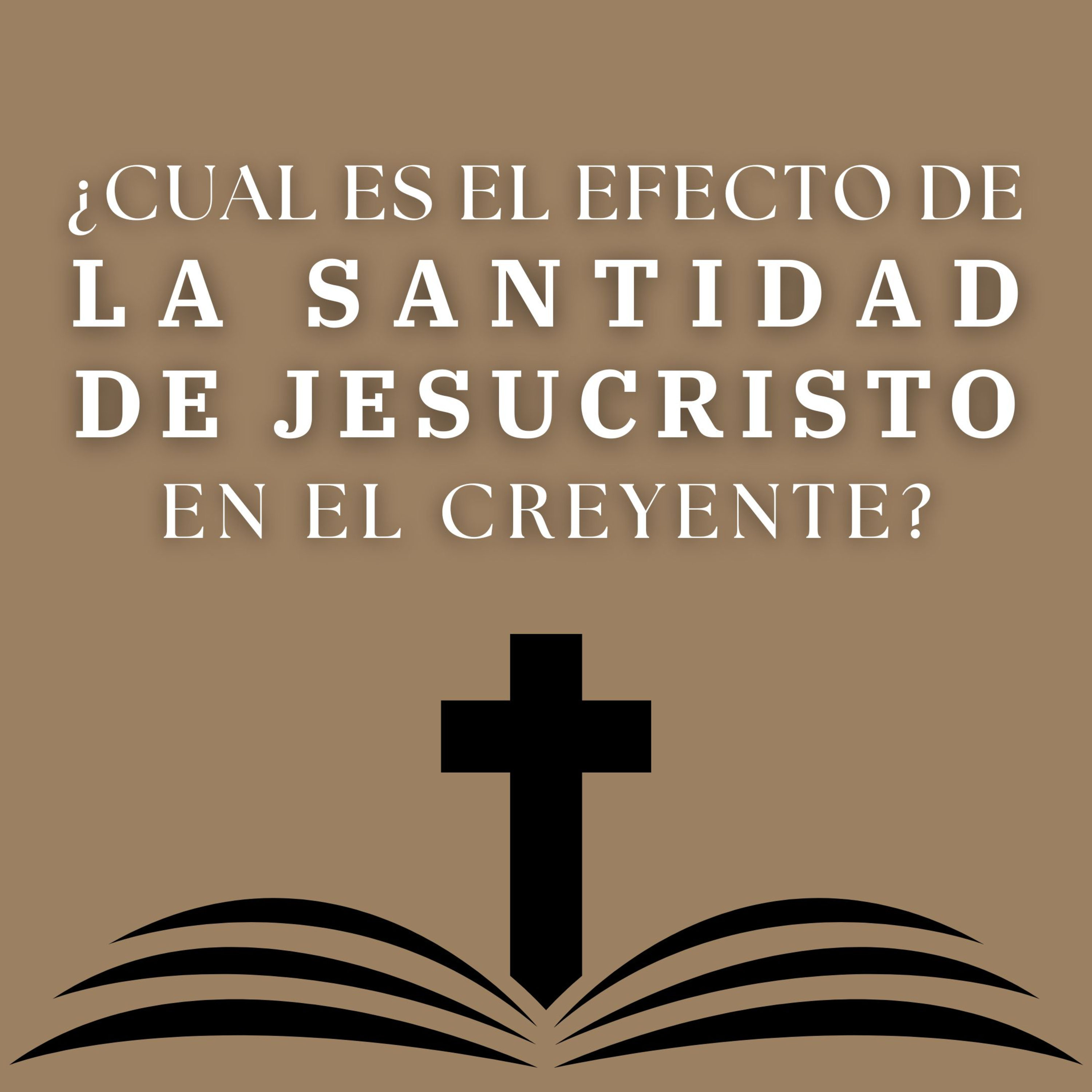#446- 🇪🇸 ¿Cuál Es El Efecto De La Santidad De Jesucristo En El Creyente? | David Henao #CCILondon