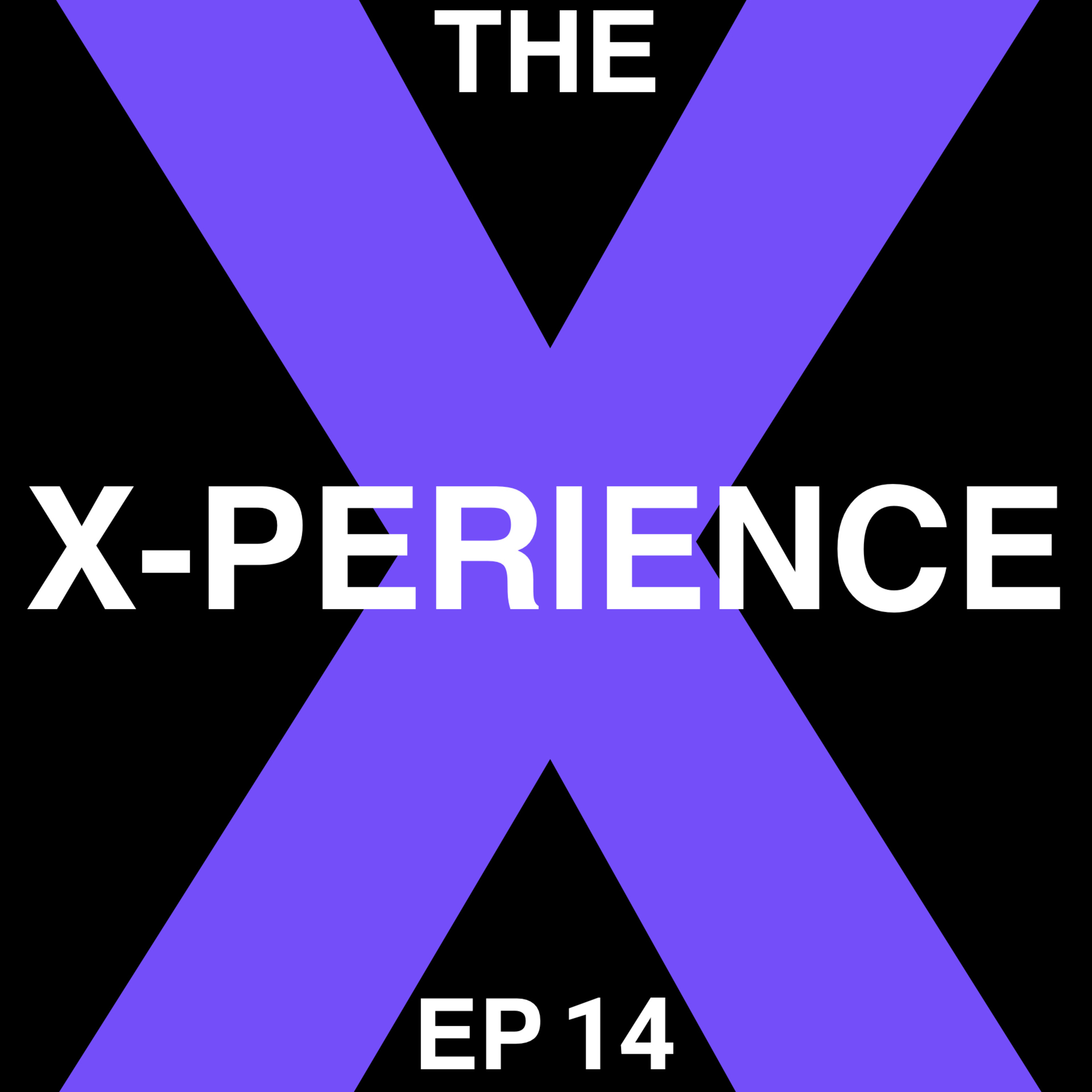 THE X-PERIENCE