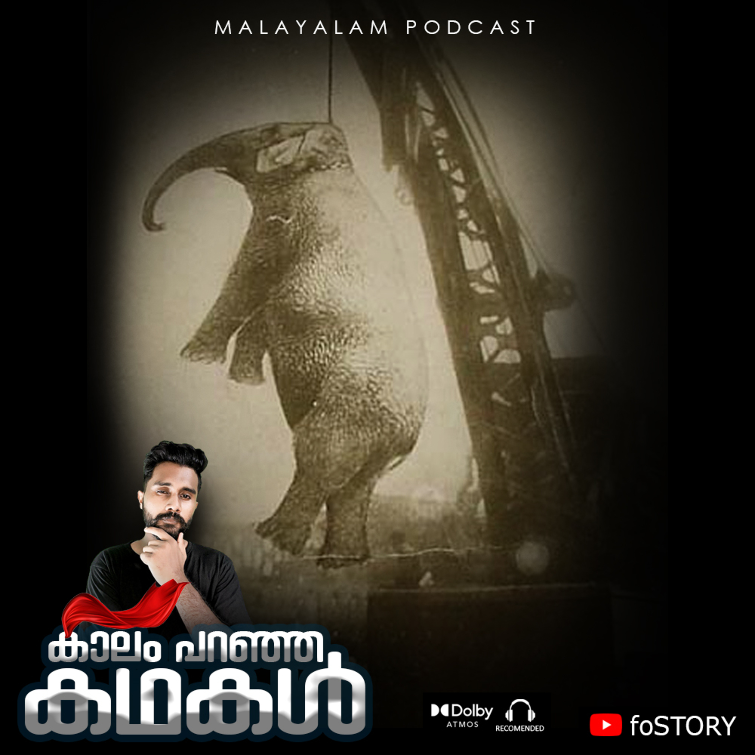 തൂക്കിലേറ്റപ്പെട്ട ആനയുടെ കഥ! അവരെന്തിന് ആനയെ തൂക്കികൊന്നു? | Mary The Elephant 😓 | E-25 Malayalam Mystery | JoeFos | foSTORY