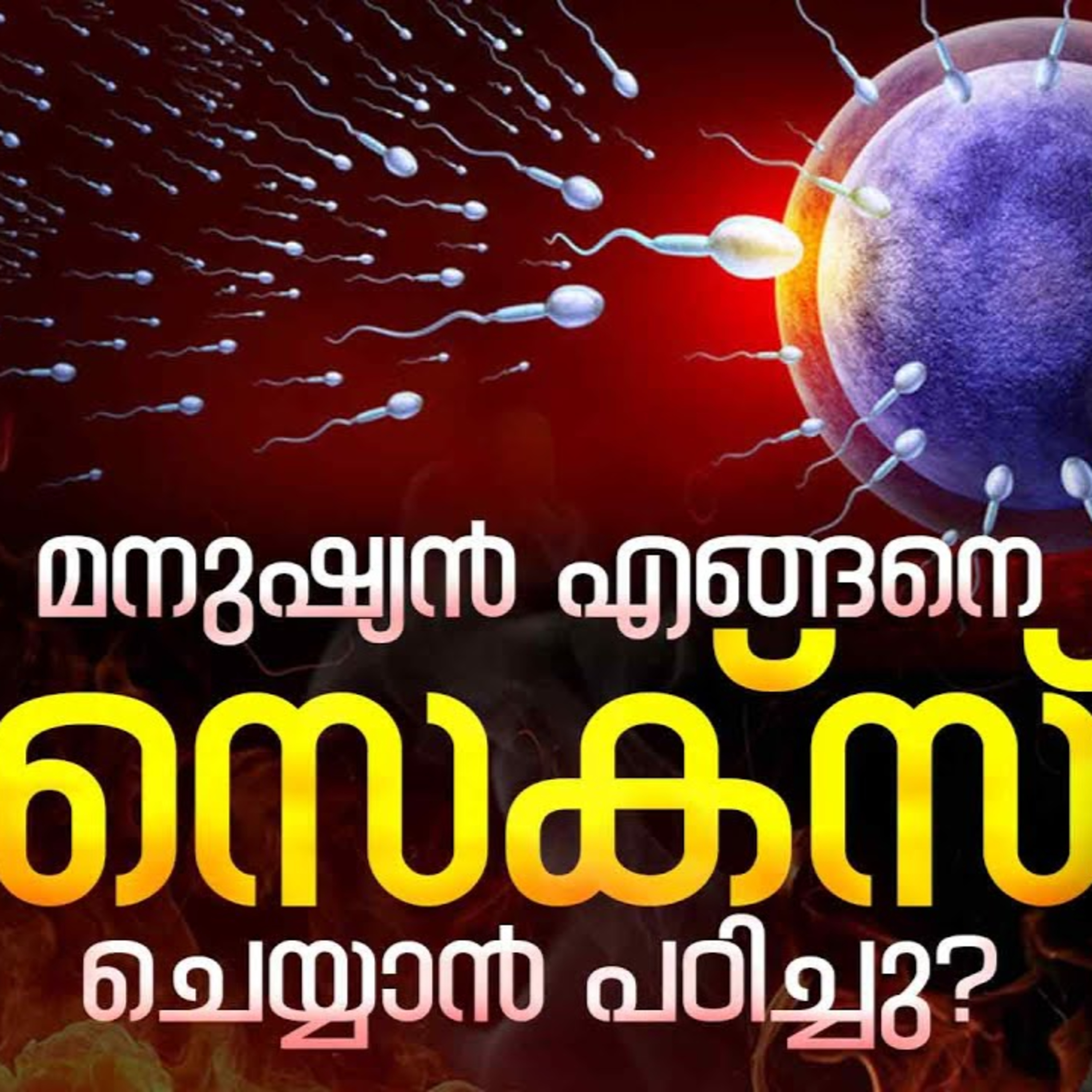 Malayalam Podcast | മനുഷ്യൻ എങ്ങനെ സെക്സ് ചെയ്യാൻ പേടിച്ചു? | E-62 episode artwork