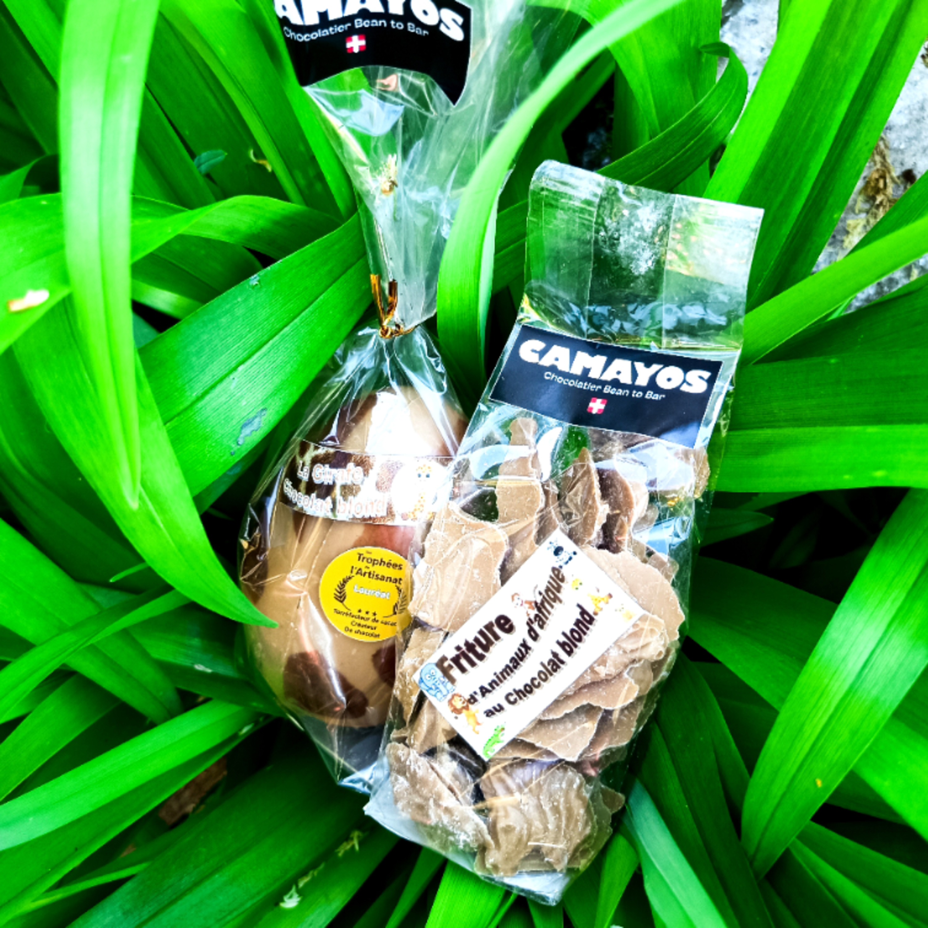 Les pâques de ma vie ❤️