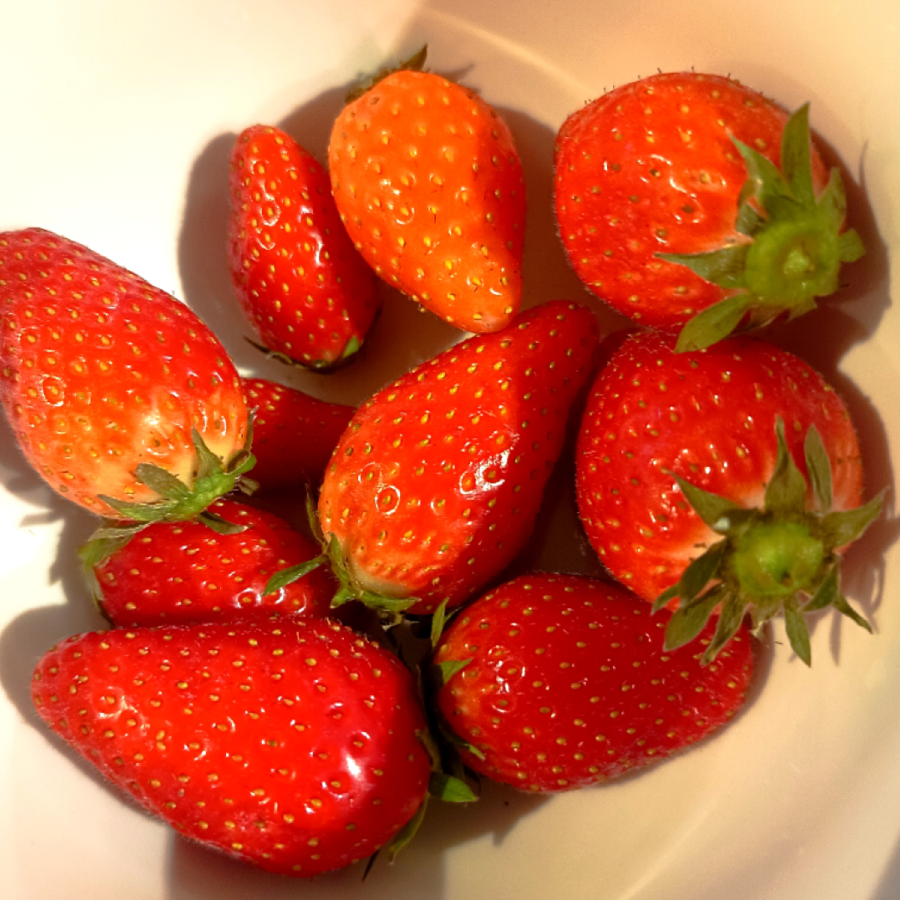 Les cours, Akito qui pue lol, 😂, les talks en ligne, et quoi d autres. 