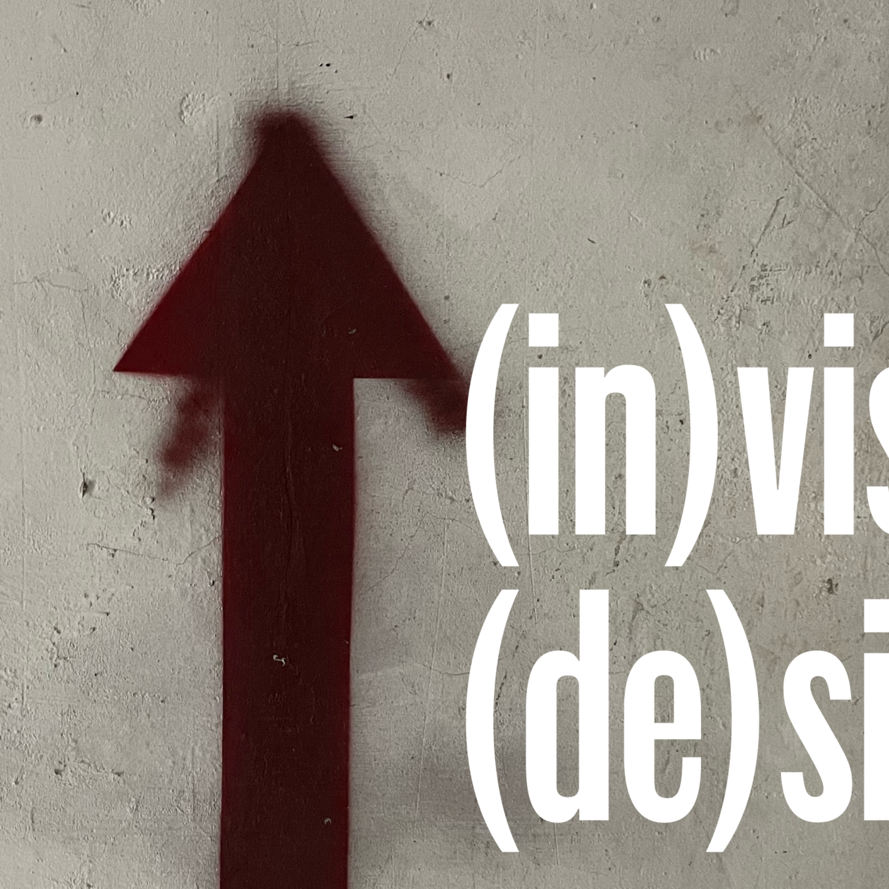 (in)visible (de)signs