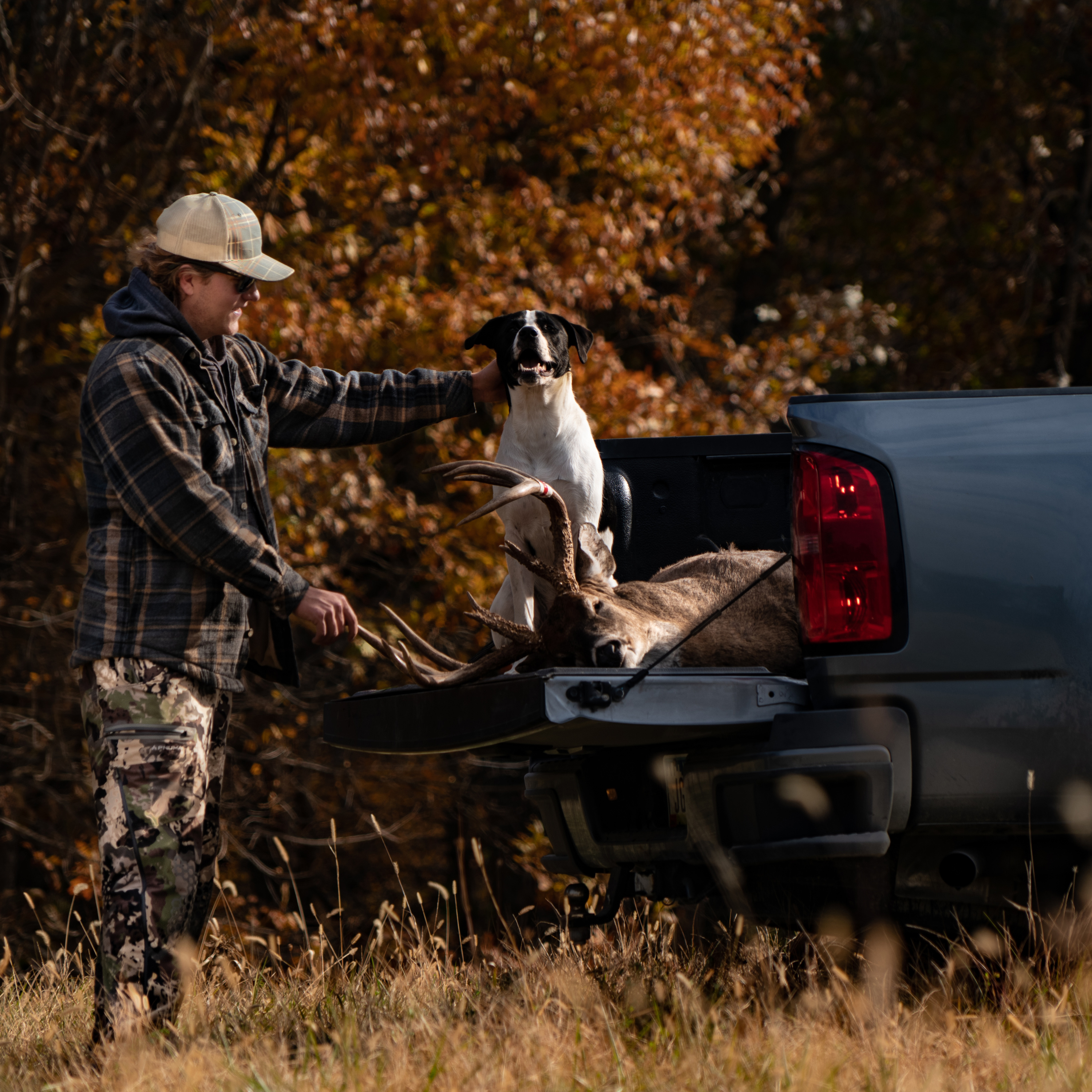Recovering Your Deer: Utilizing Dogs