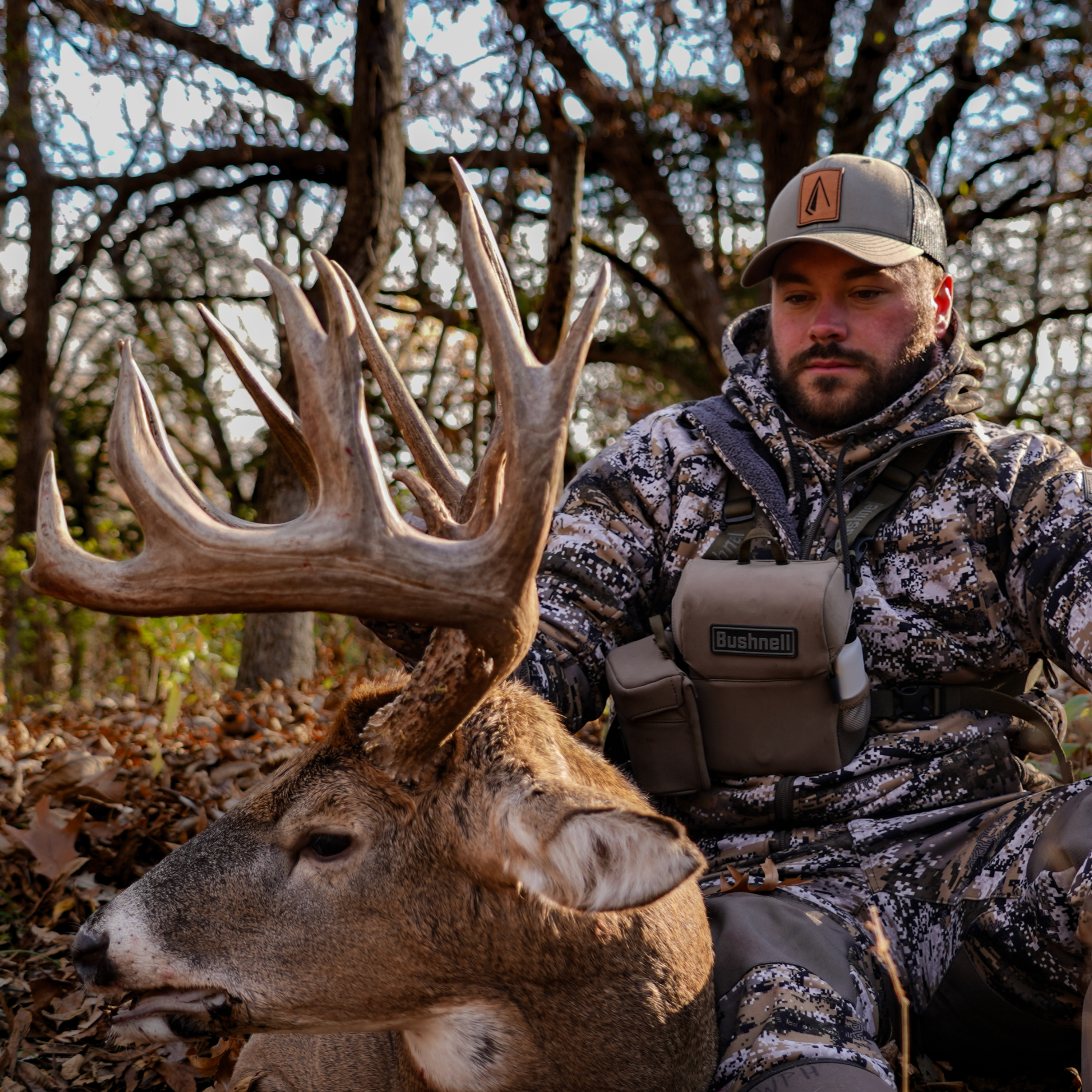 The Bigger The Body The Bigger The Rack: What Makes The Healthiest Deer? episode artwork