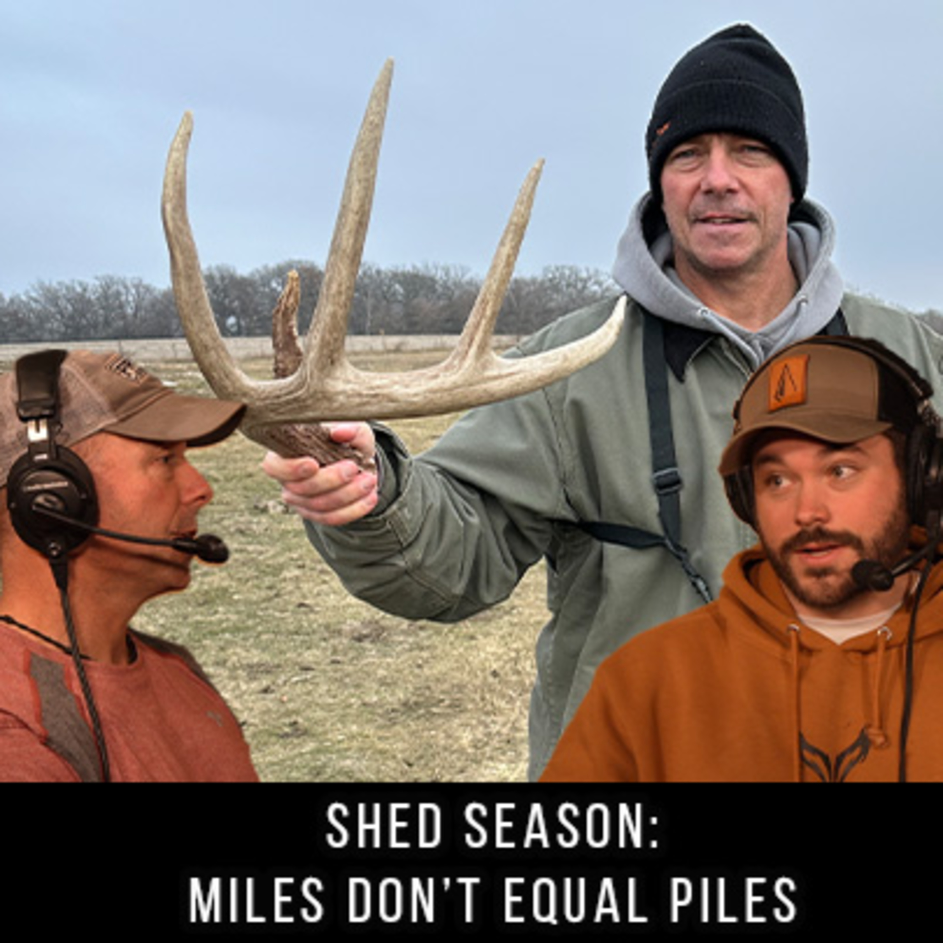 Shed Season: Miles Don't Equal Piles episode artwork