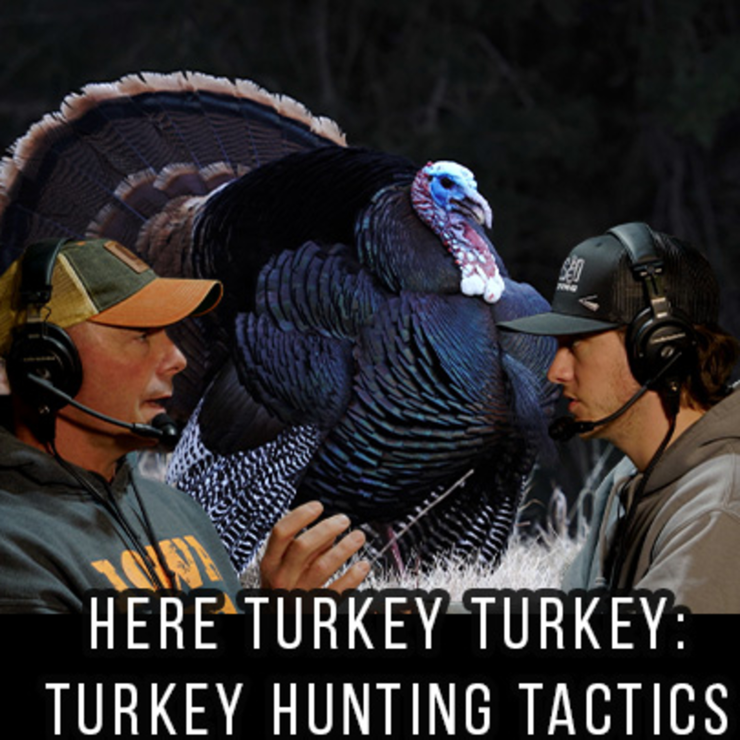Here Turkey Turkey: Turkey Hunting Tactics episode artwork