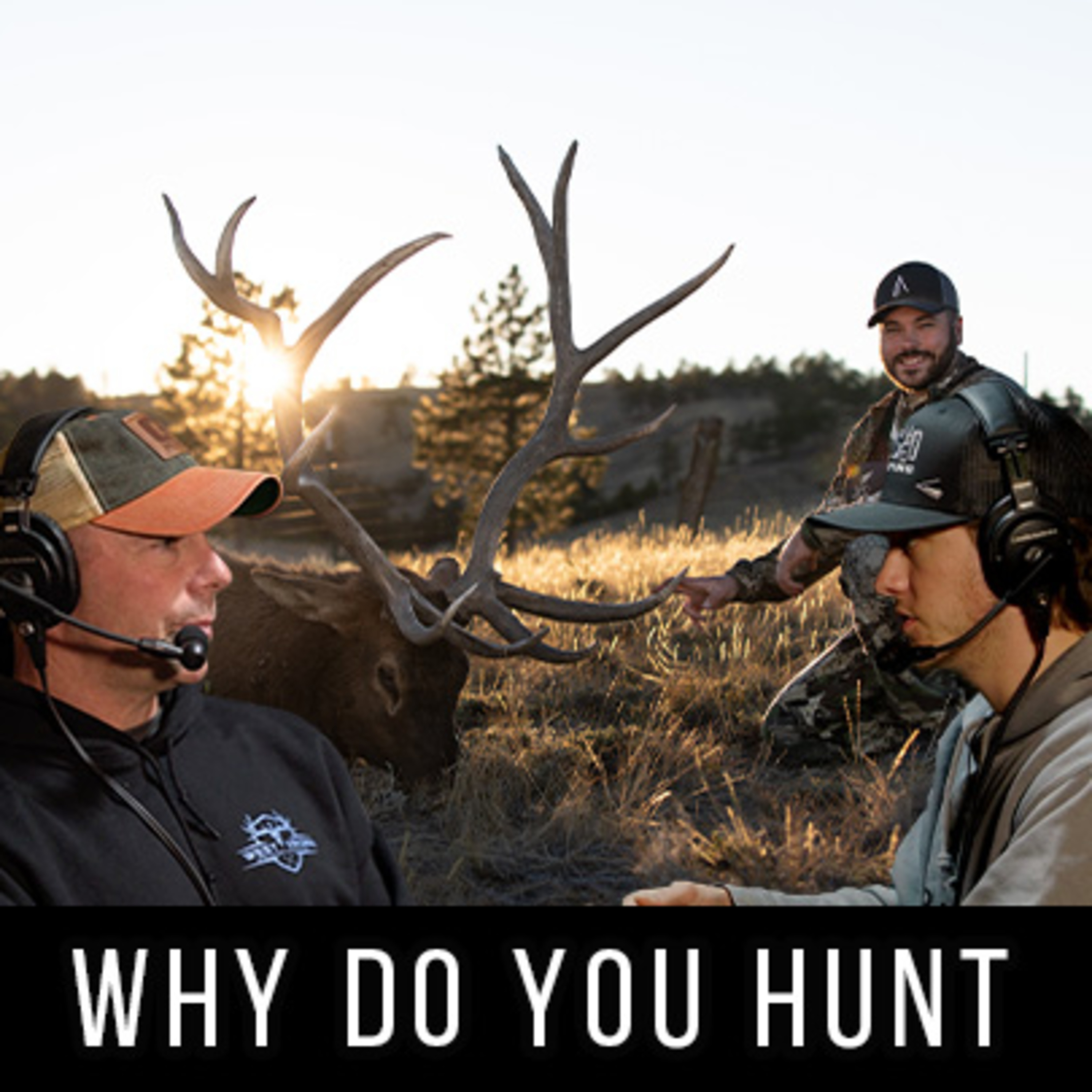Why Do You Hunt