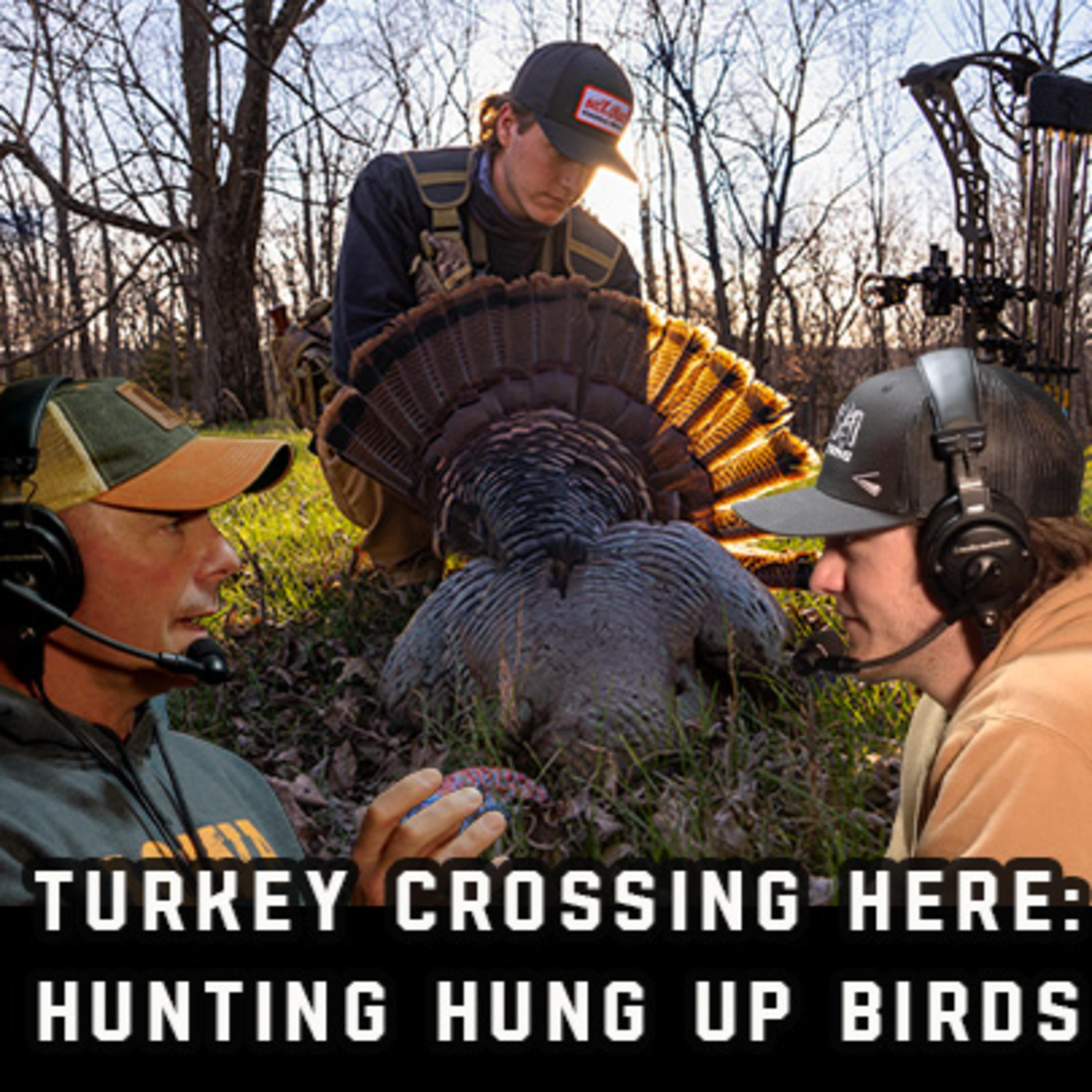 Turkey Crossing Here: Hunting Hung Up Birds