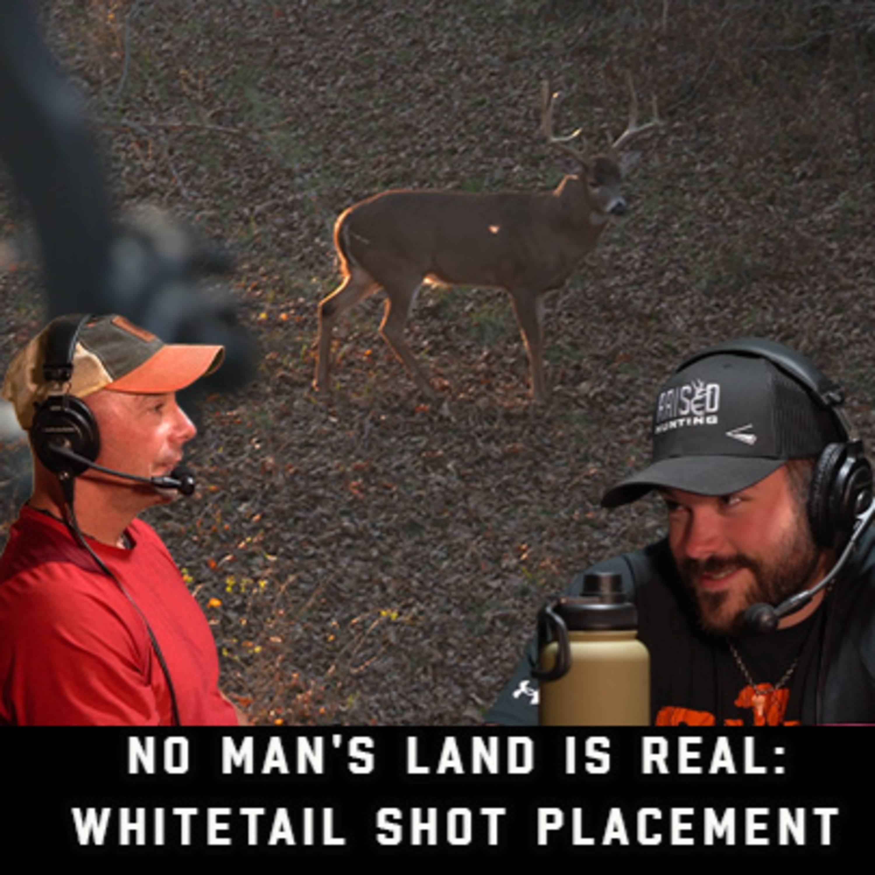 No Man's Land Is Real: Whitetail Shot Placement