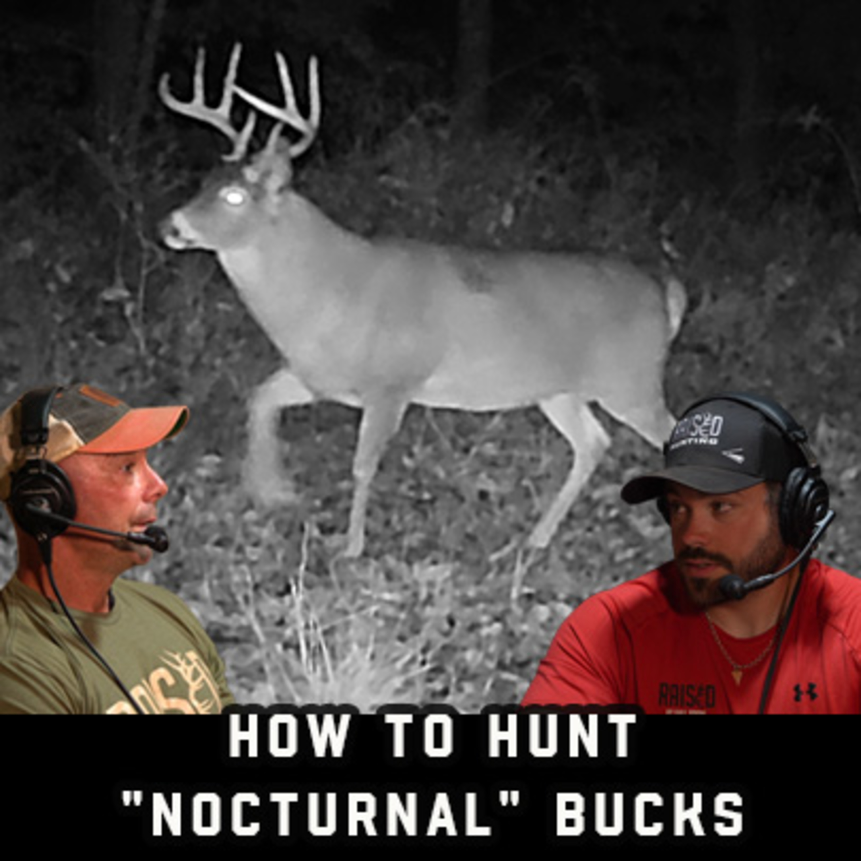 How To Hunt 'Nocturnal