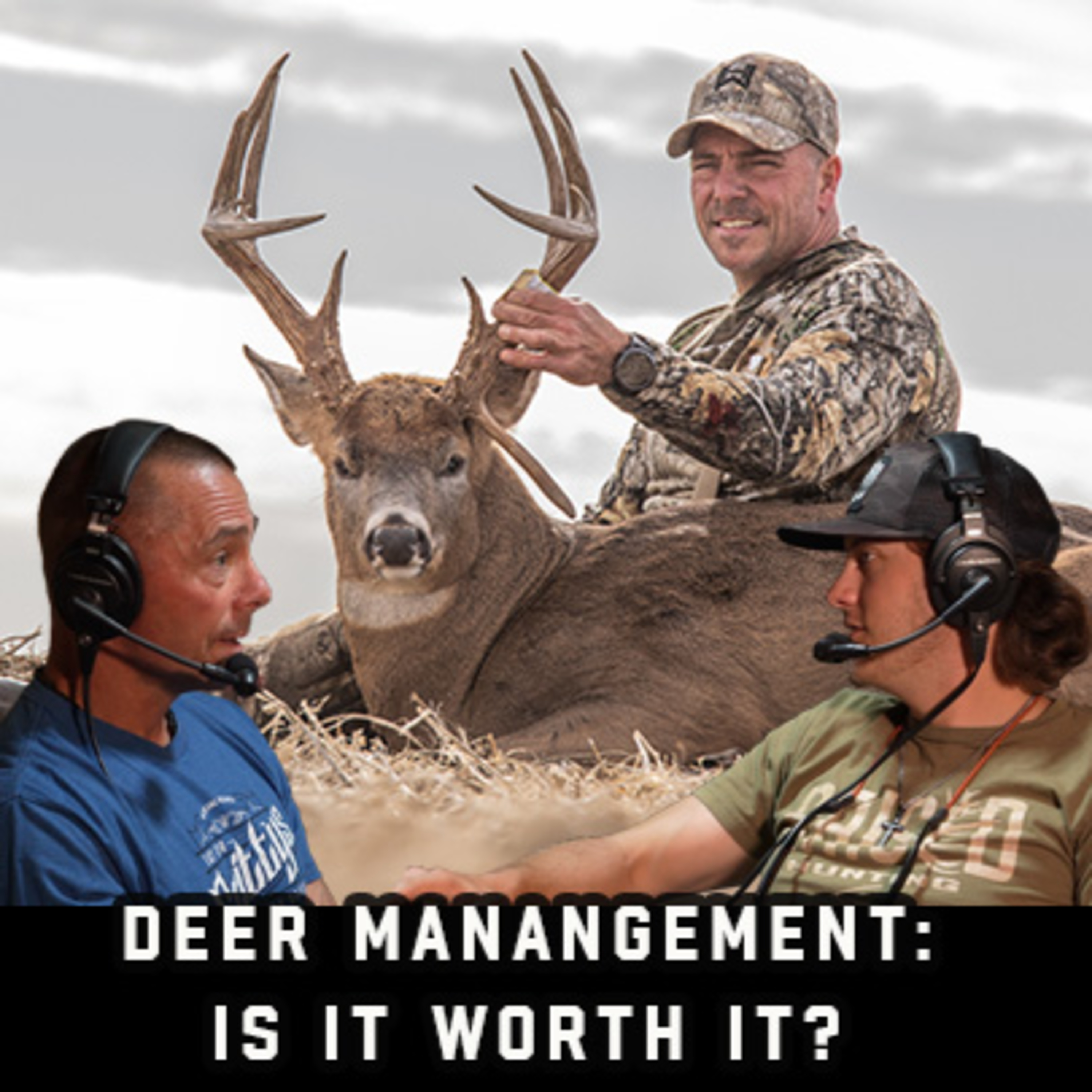 Deer Management: Is It Worth It?