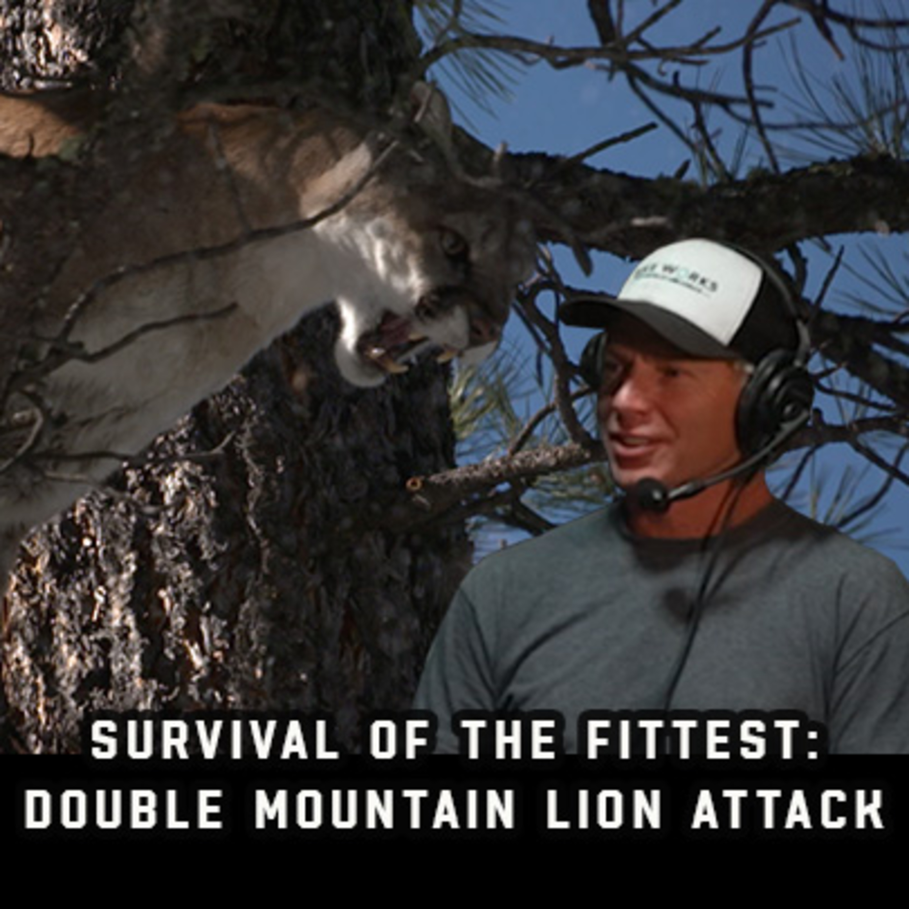 Survival Of The Fittest: Double Mountain Lion Attack