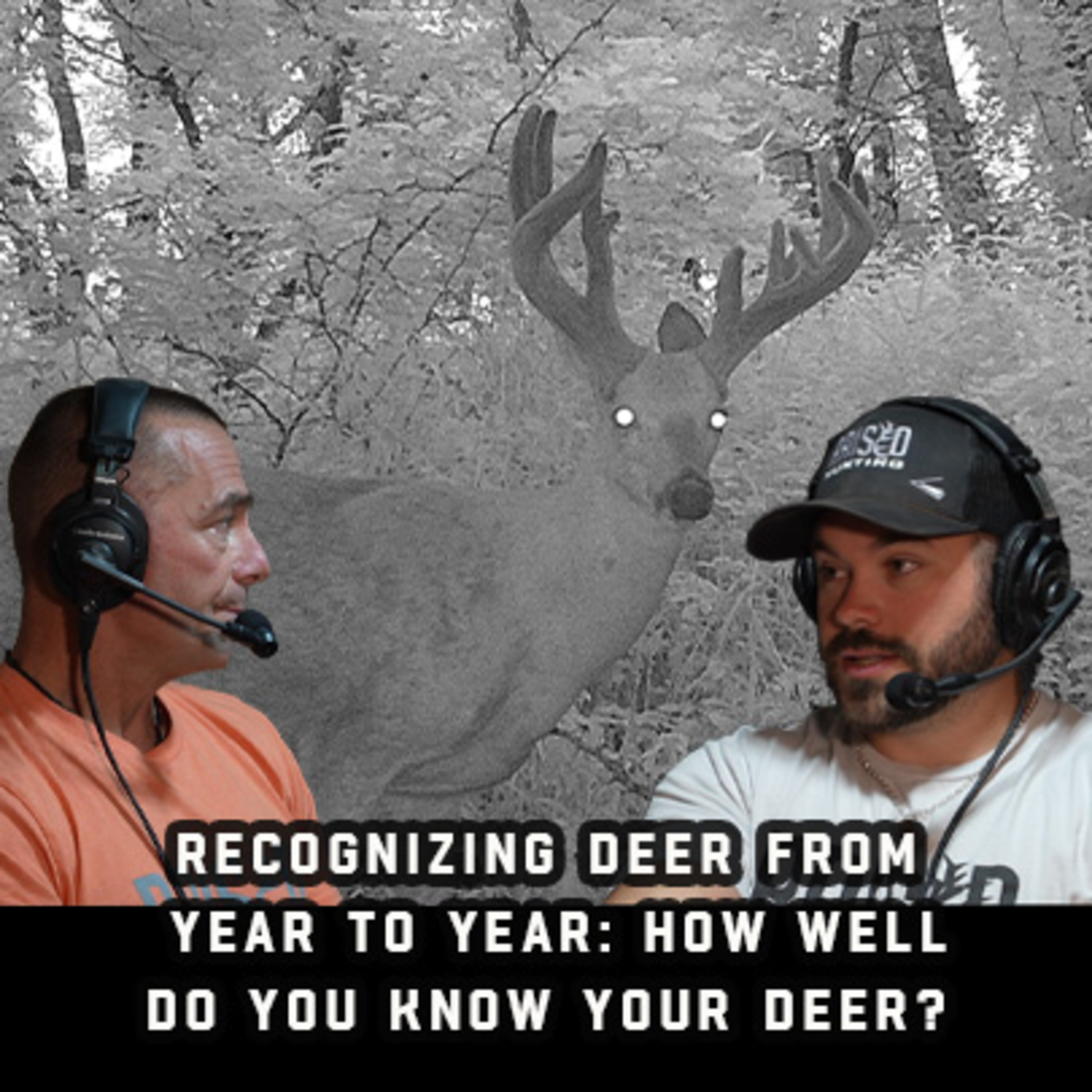 Recognizing Deer From Year To Year: How Well Do You Know Your Deer?  episode artwork