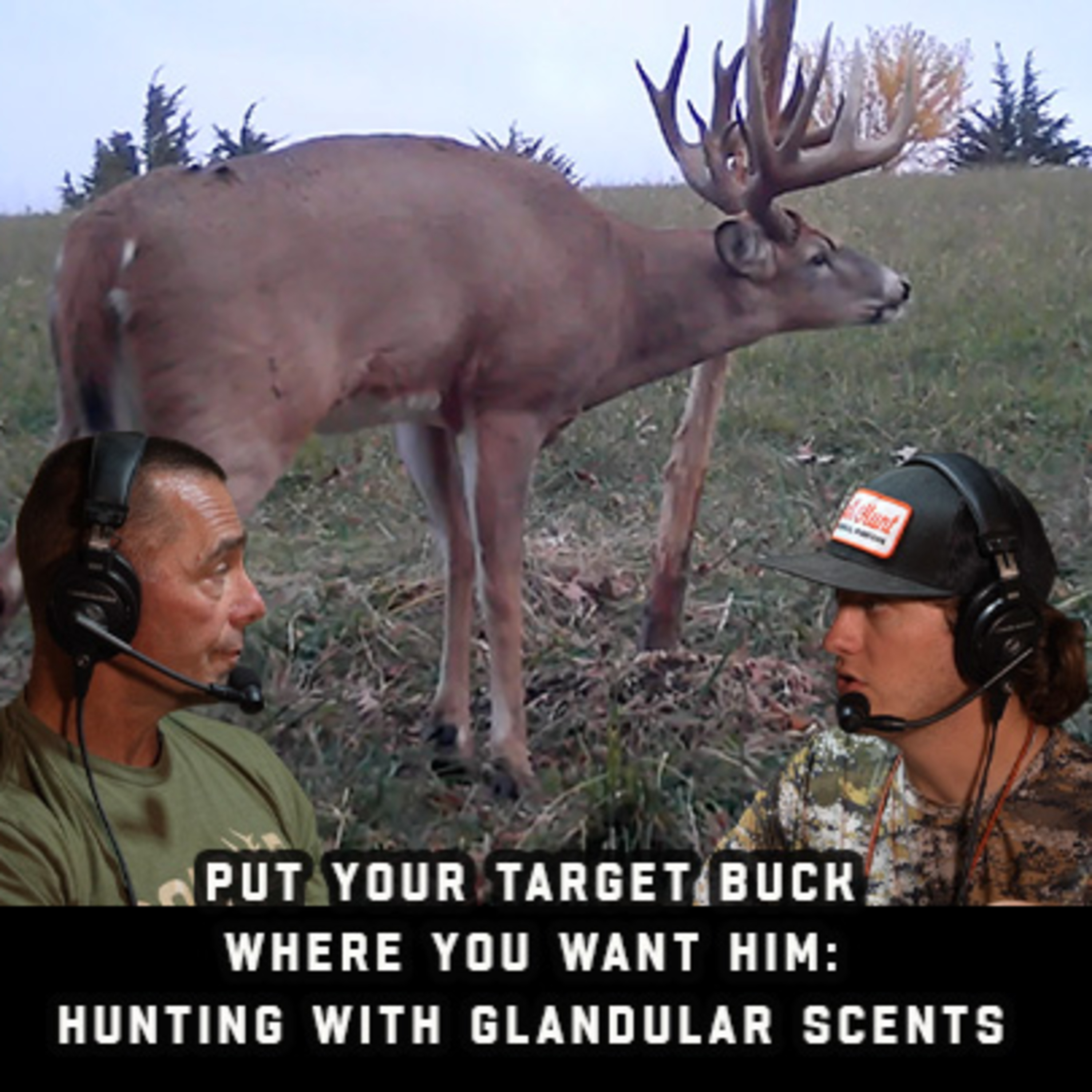 Put Your Target Buck Where You Want Him: Hunting With Glandular Scents episode artwork