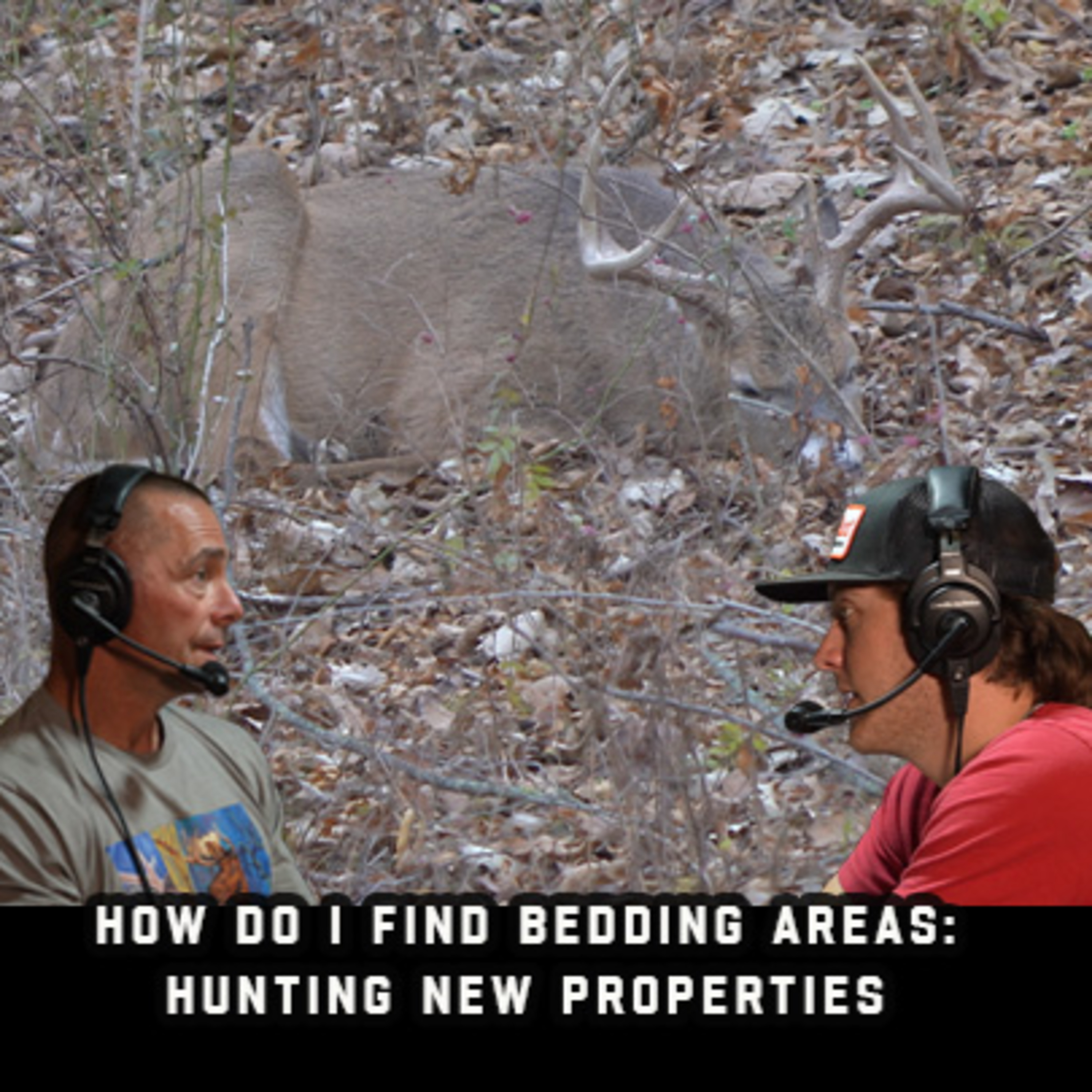 How Do I Find Bedding Areas: Hunting New Properties episode artwork