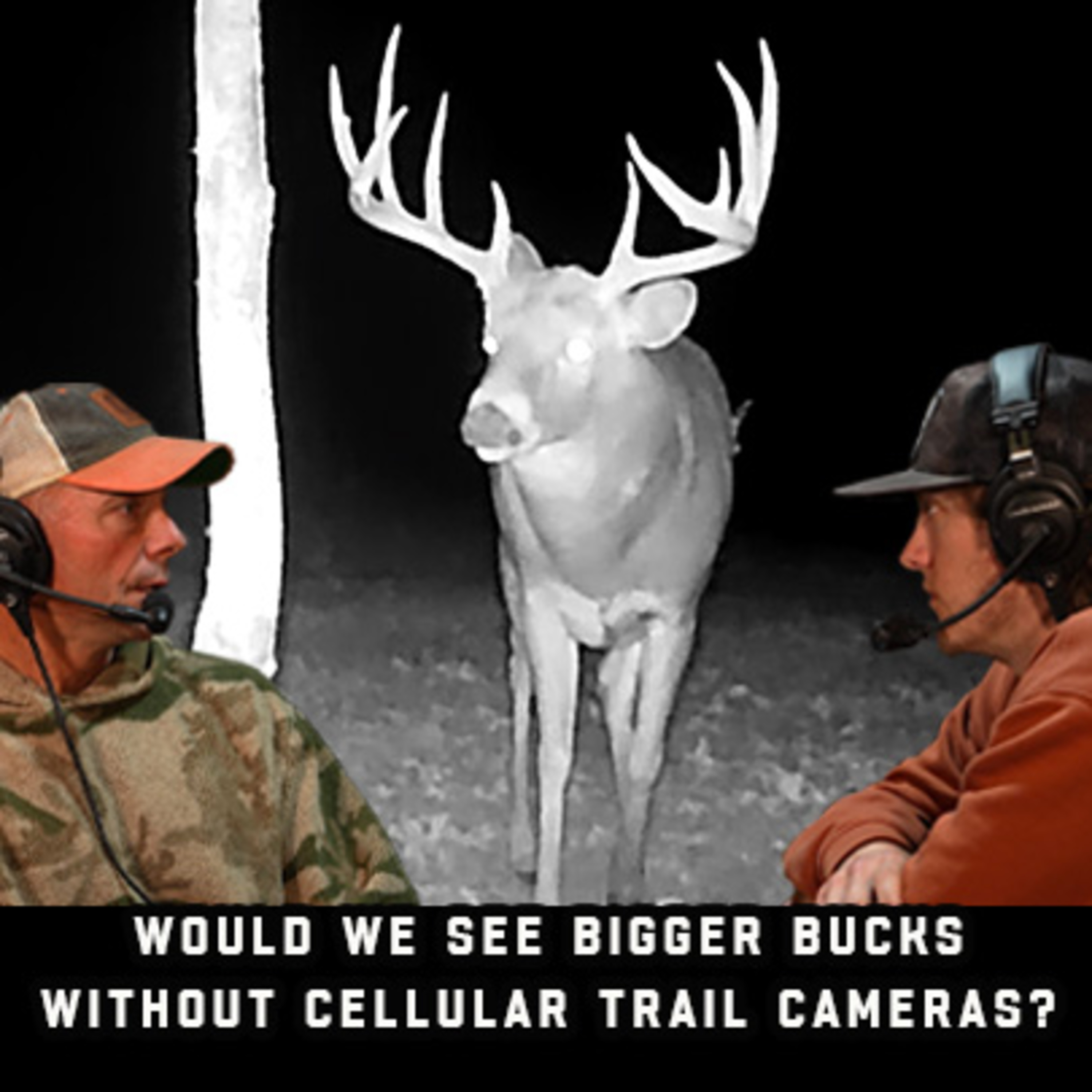 Would We See Bigger Bucks Without Cellular Trail Cameras? episode artwork