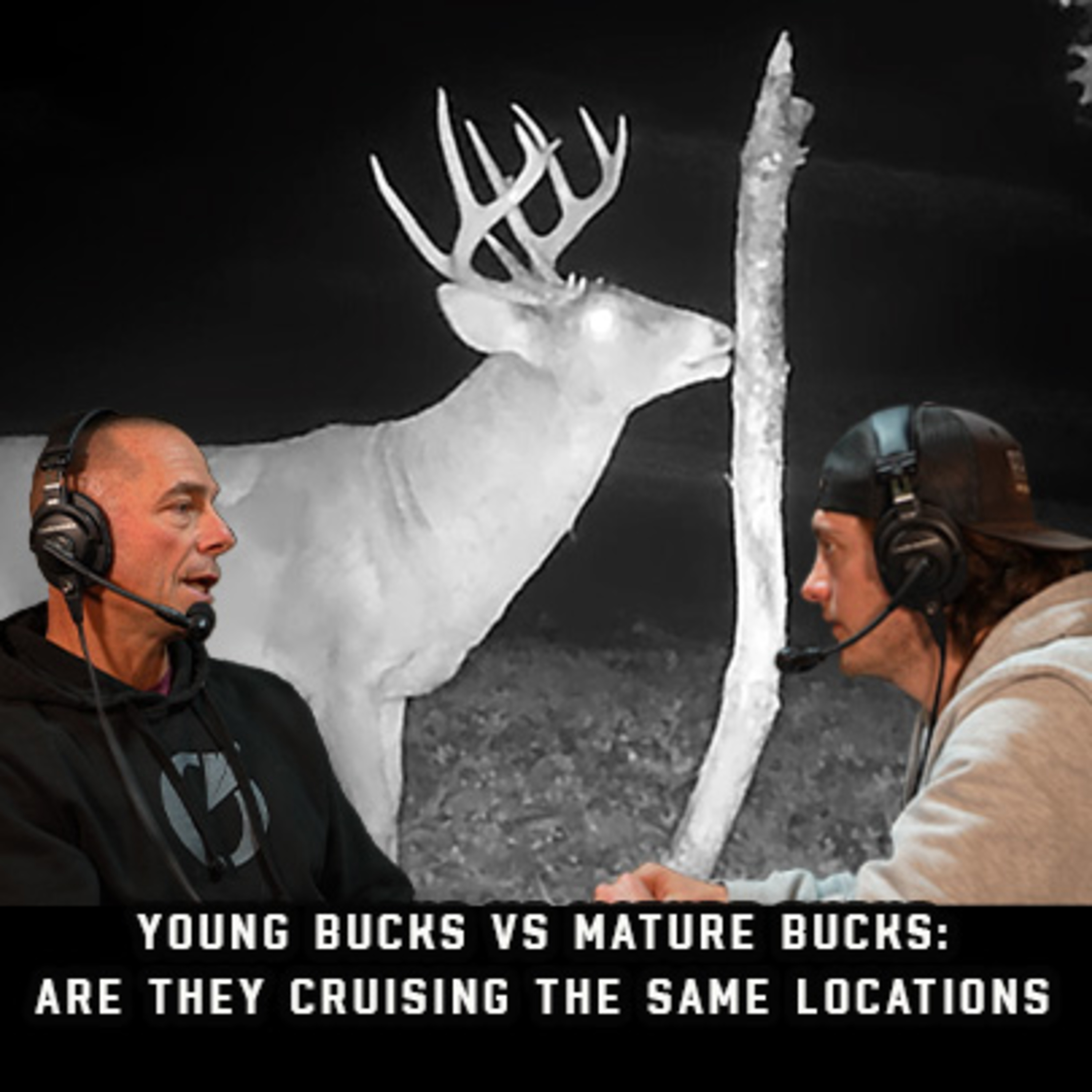 Young Bucks VS Mature Bucks: Are They Cruising The Same Locations