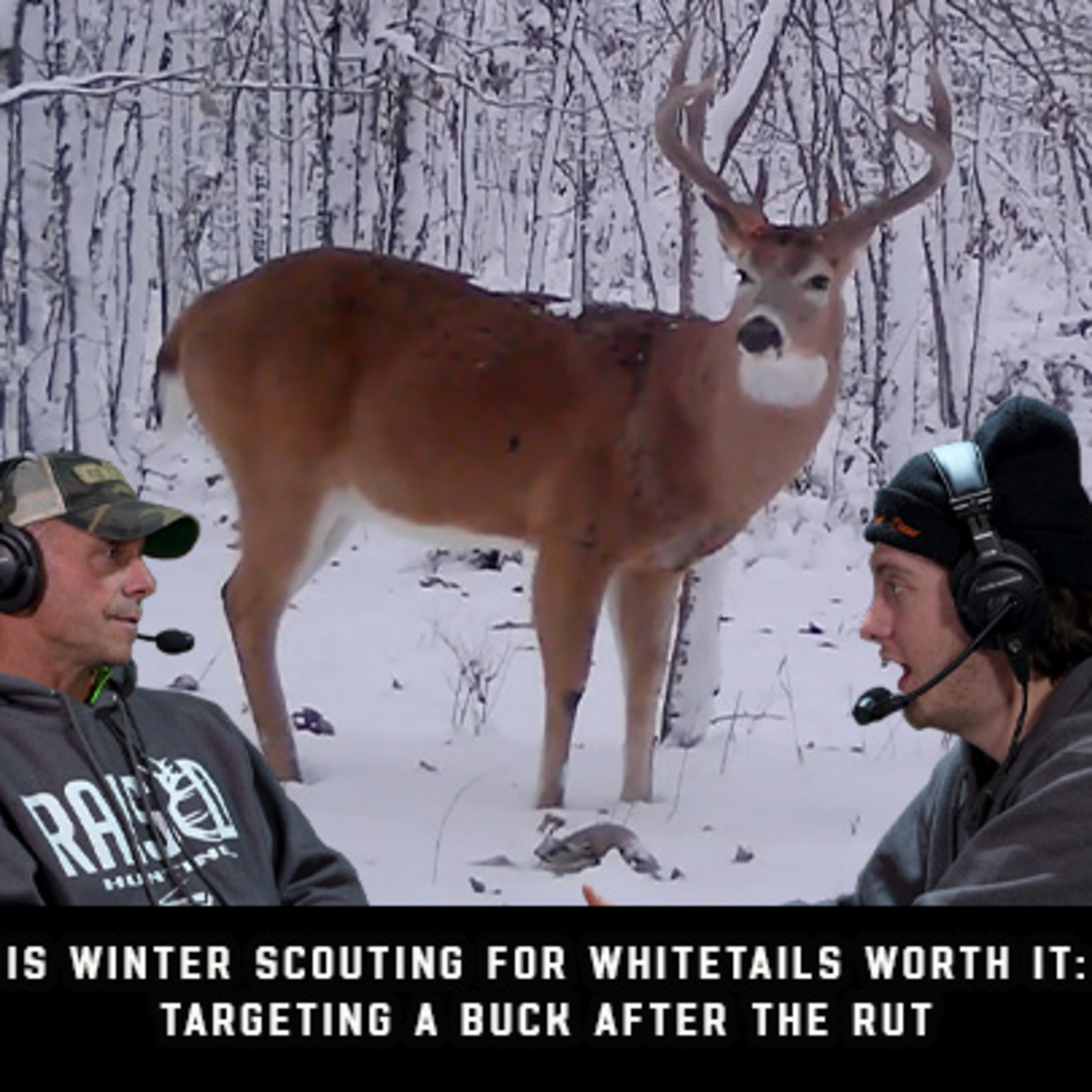 Is Winter Scouting For Whitetails Worth It: Targeting Bucks After The Rut