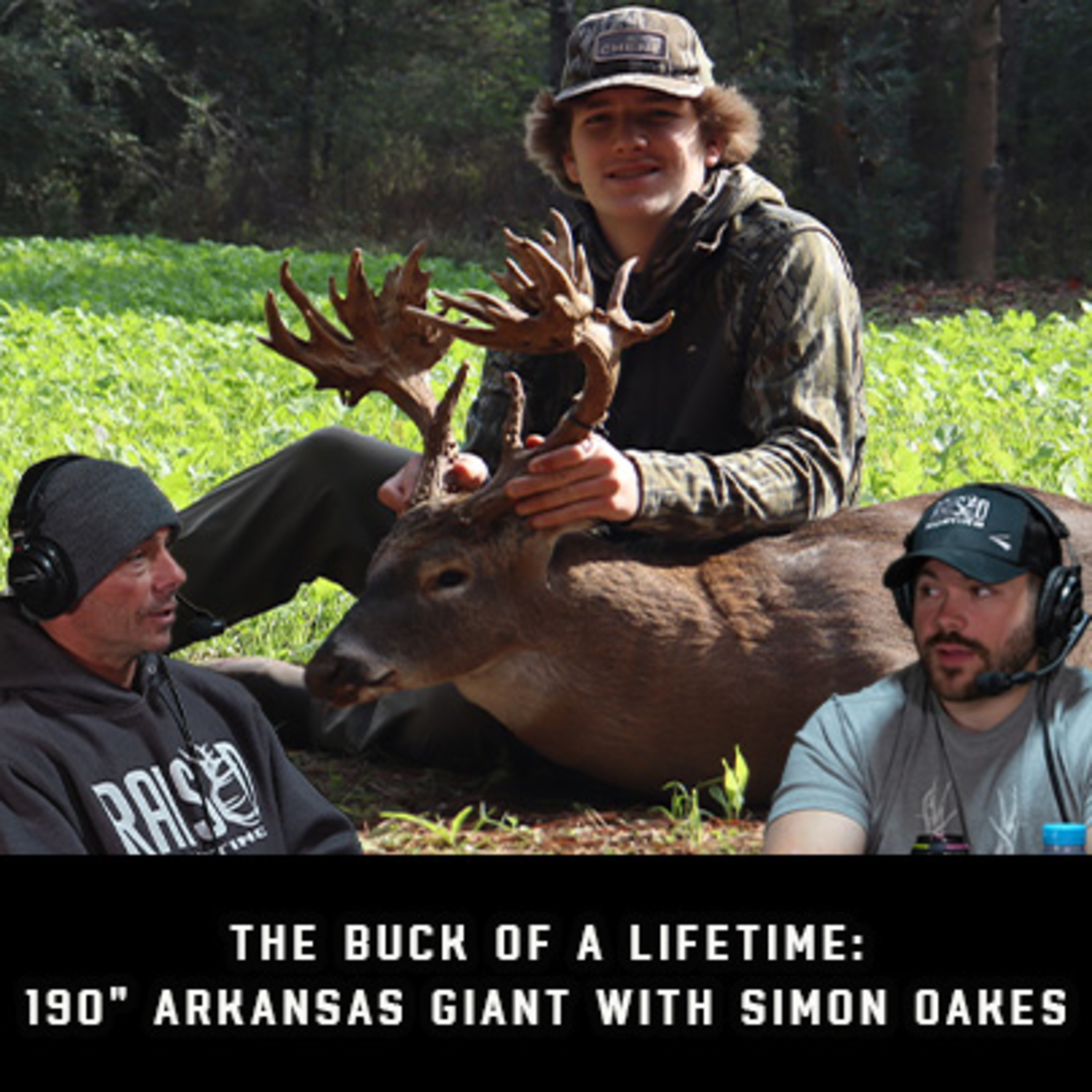 Raised Hunting