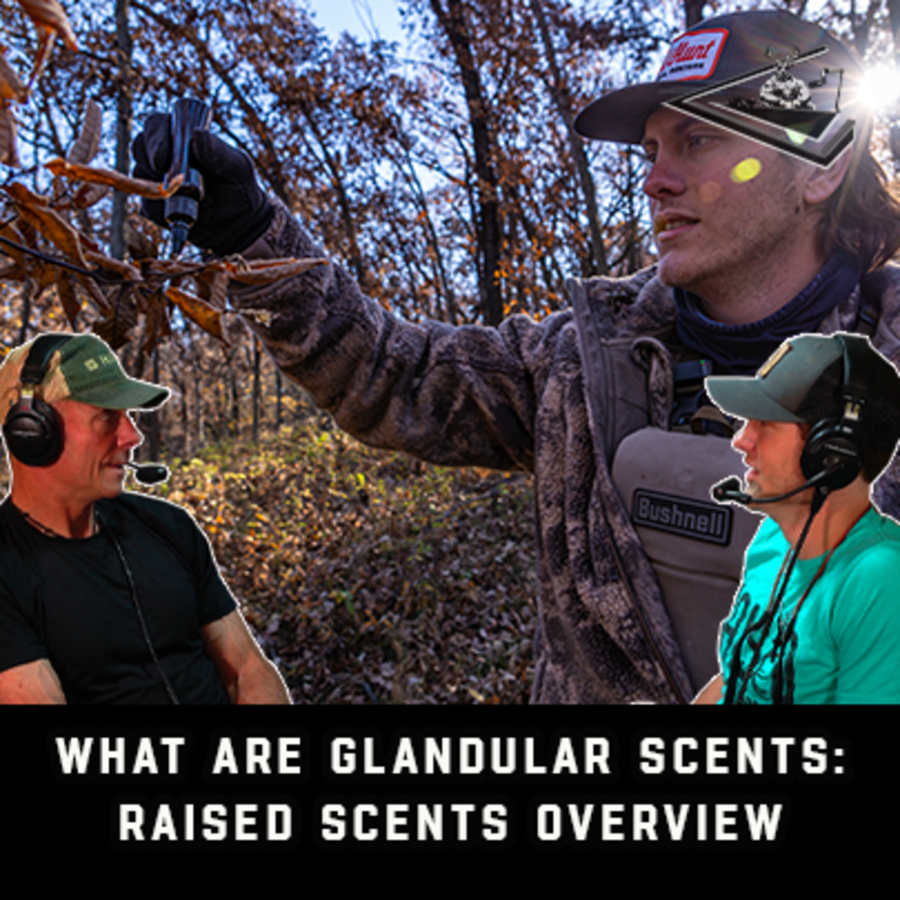 What Are Glandular Scents: Raised Scents Overview | Raised Hunting Podcast Special Edition