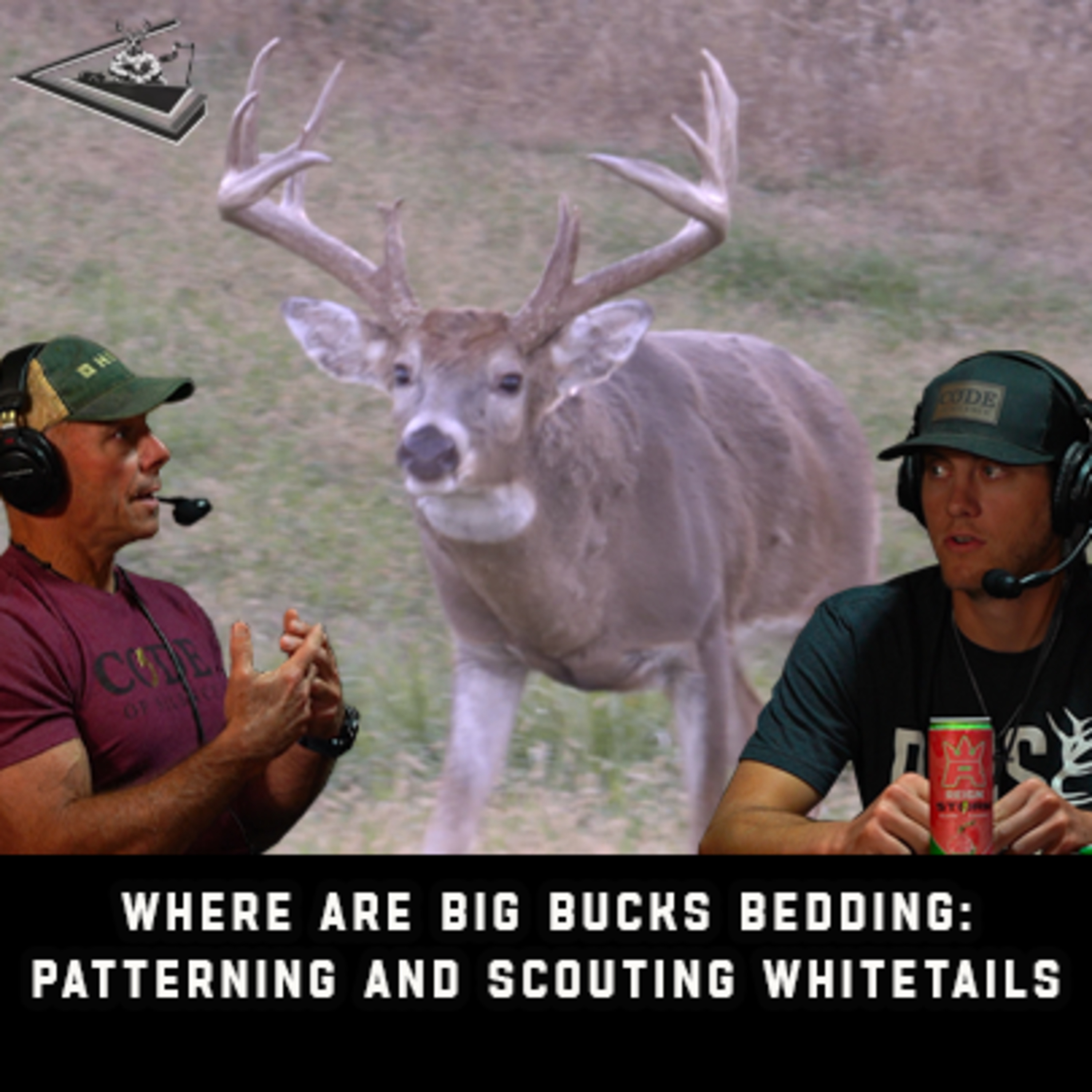 Where Are Big Bucks Bedding: Patterning And Scouting Whitetails | Raised Hunting Podcast #161