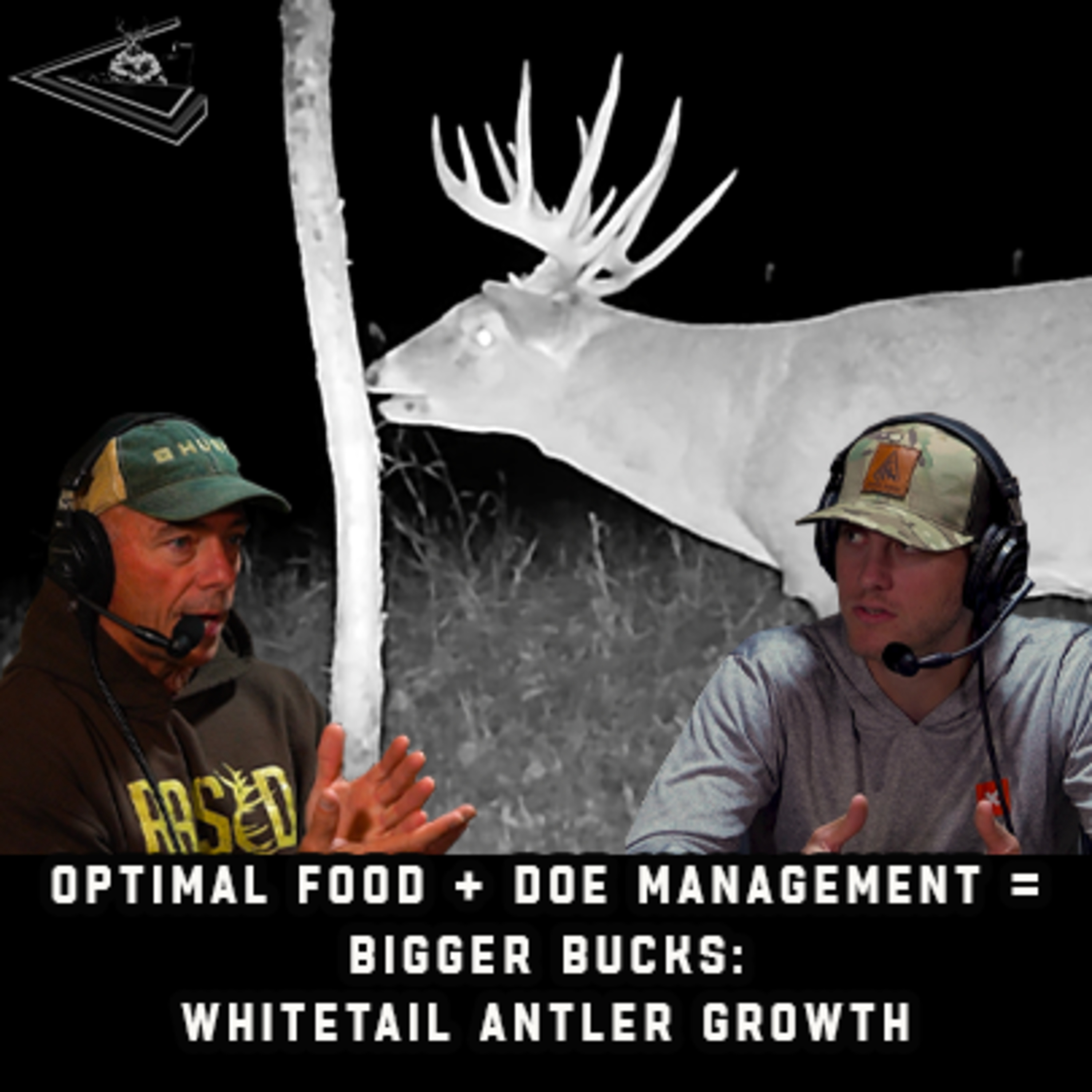Optimal Food + Doe Management = Bigger Bucks: Whitetail Antler Growth | Raised Hunting Podcast #164