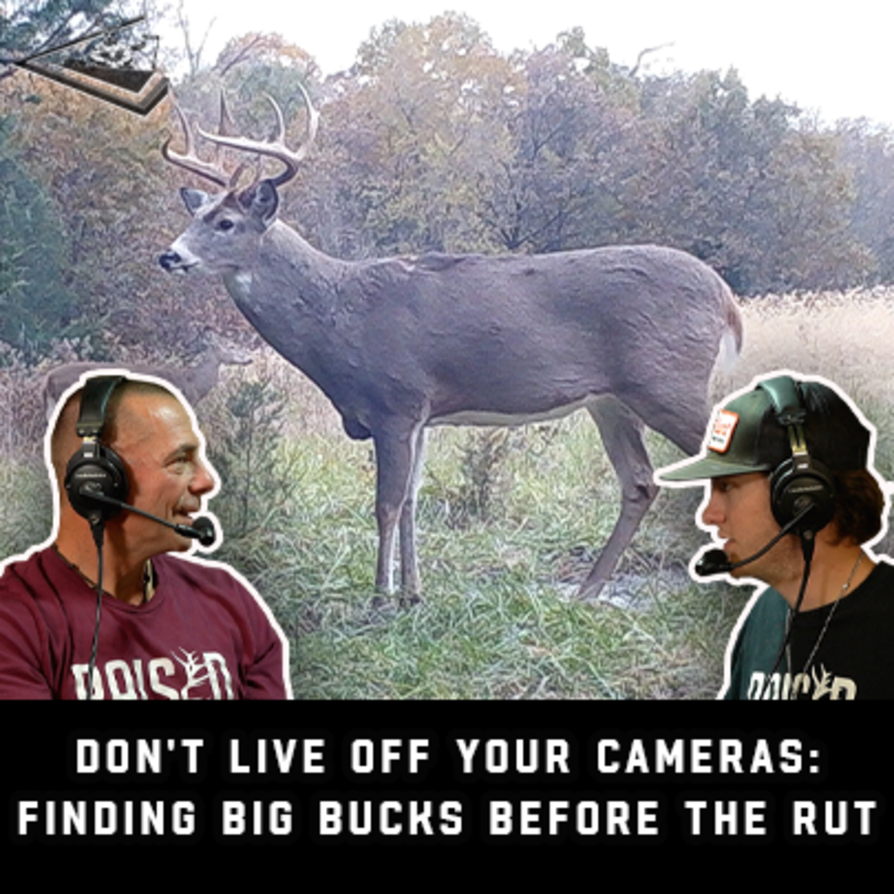 Don't Live Off Your Cameras: Finding Big Bucks Before The Rut | Raised Hunting Podcast #170 episode artwork