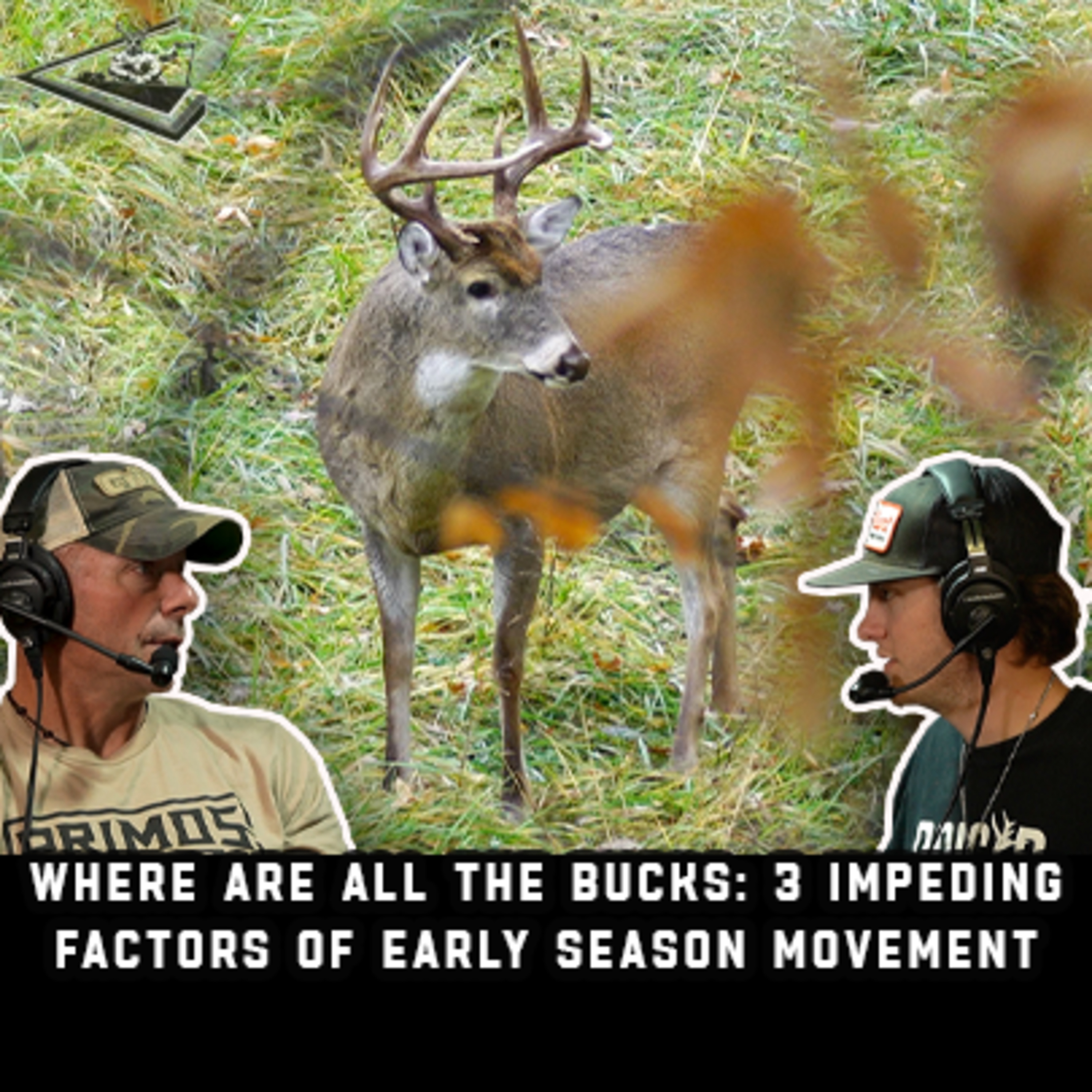 Where Are All The Bucks: 3 Impeding Factors Of Early Season Movement | Raised Hunting Podcast #171 episode artwork
