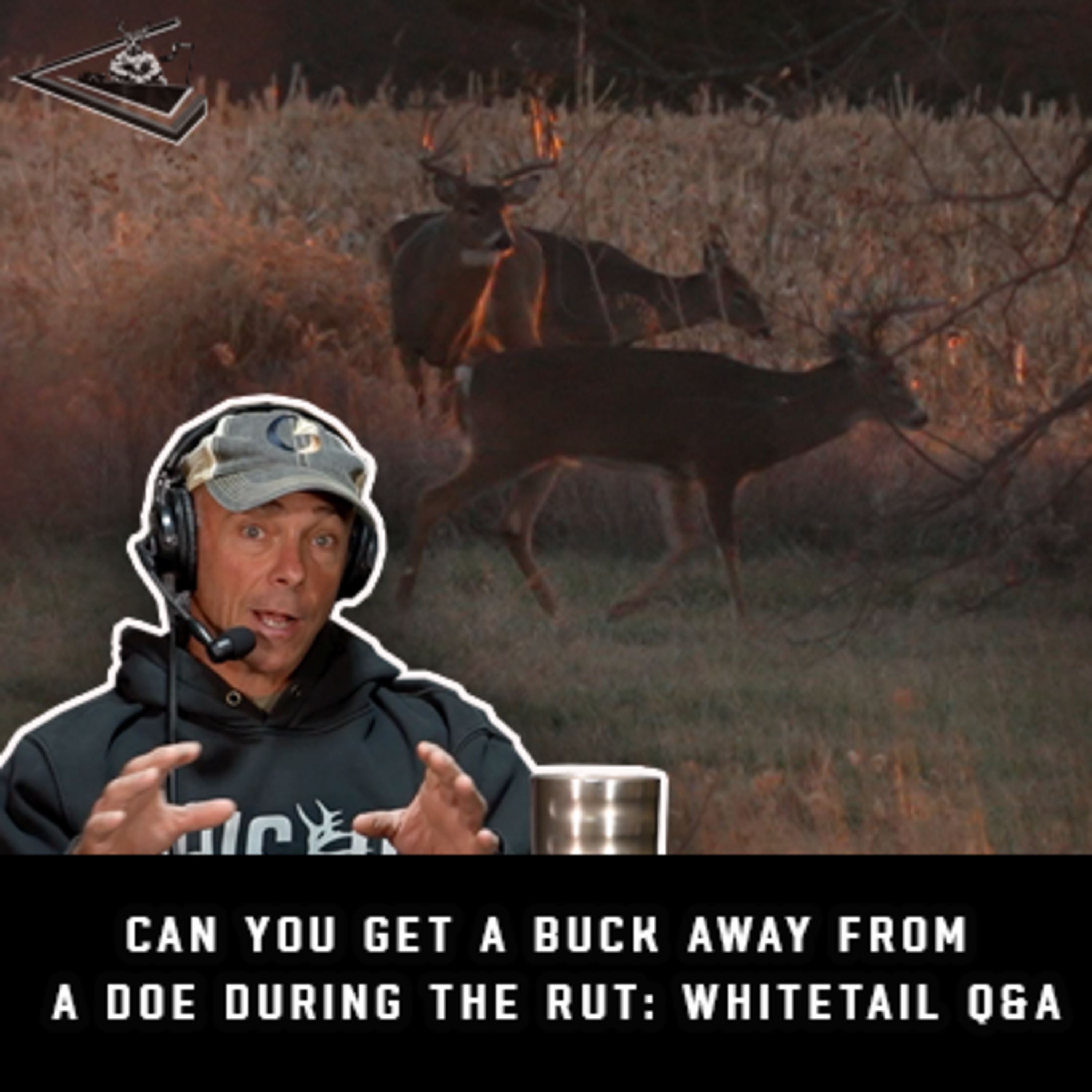 Can You Get A Buck Away From A Doe During The Rut: WhiteTail Q&A | Raised Hunting Podcast #174 episode artwork