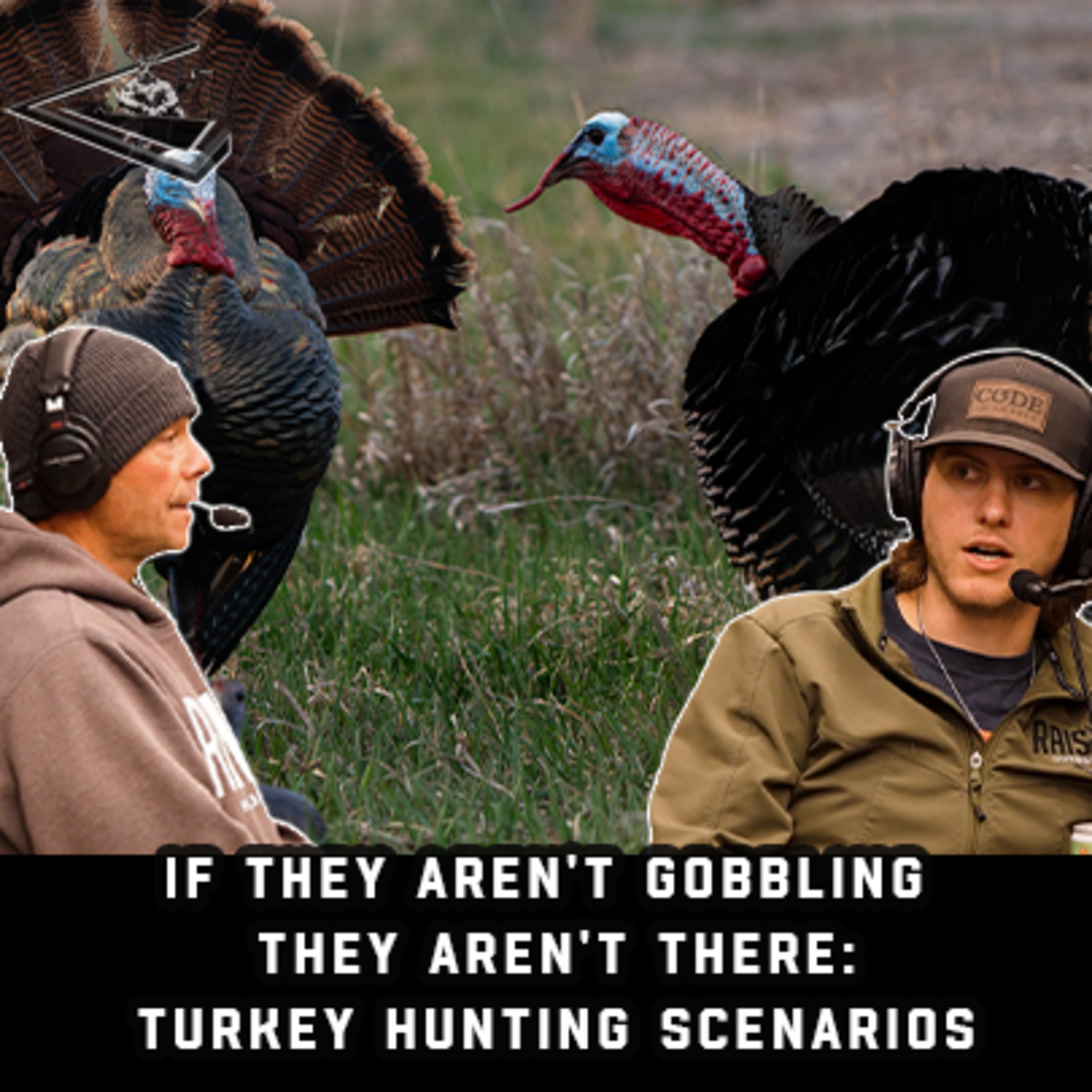 3 Turkey Scenarios You Will Encounter This Spring | How To Capitalize And Punch Your Tag | RH Podcast #196 episode artwork