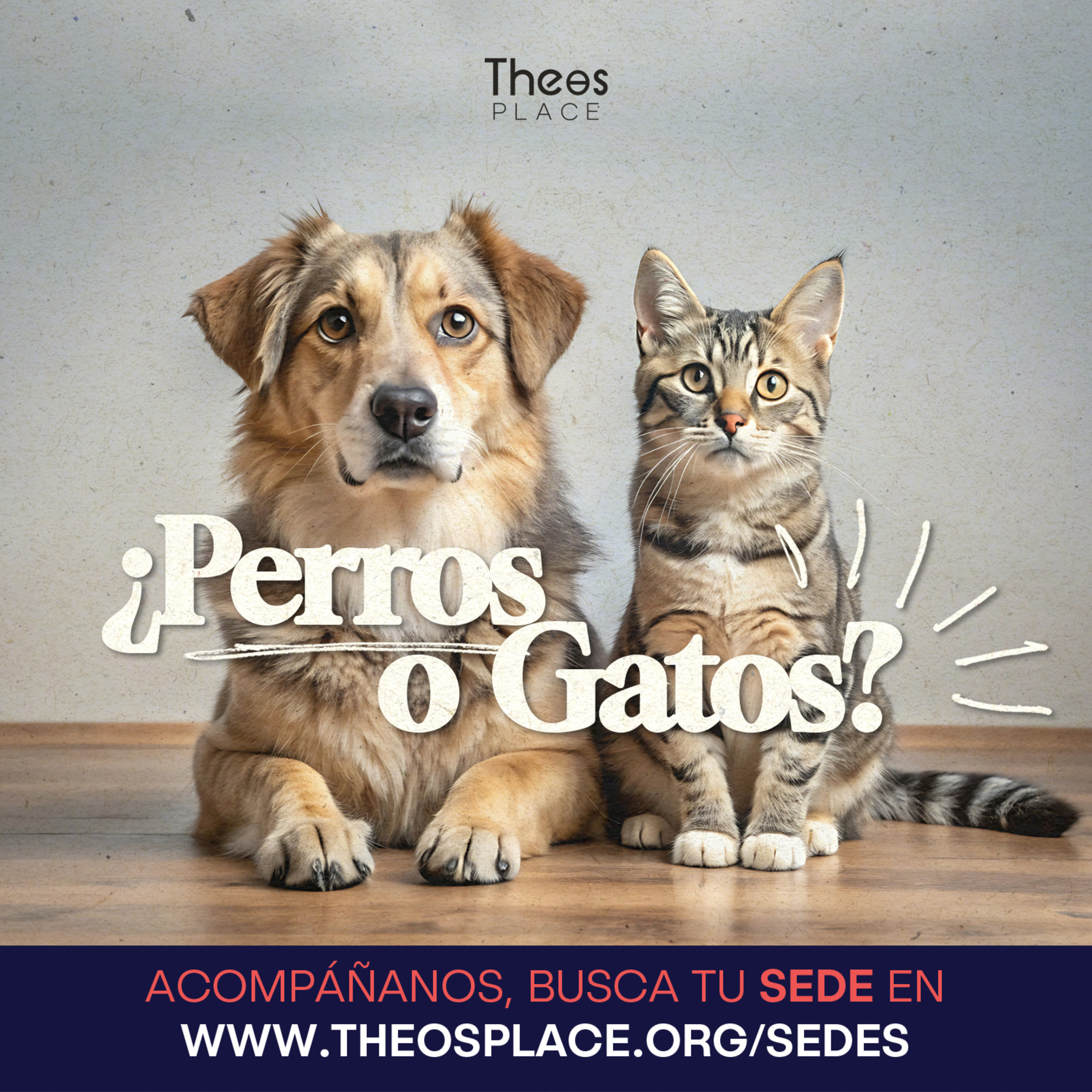 ¿Perros o Gatos?