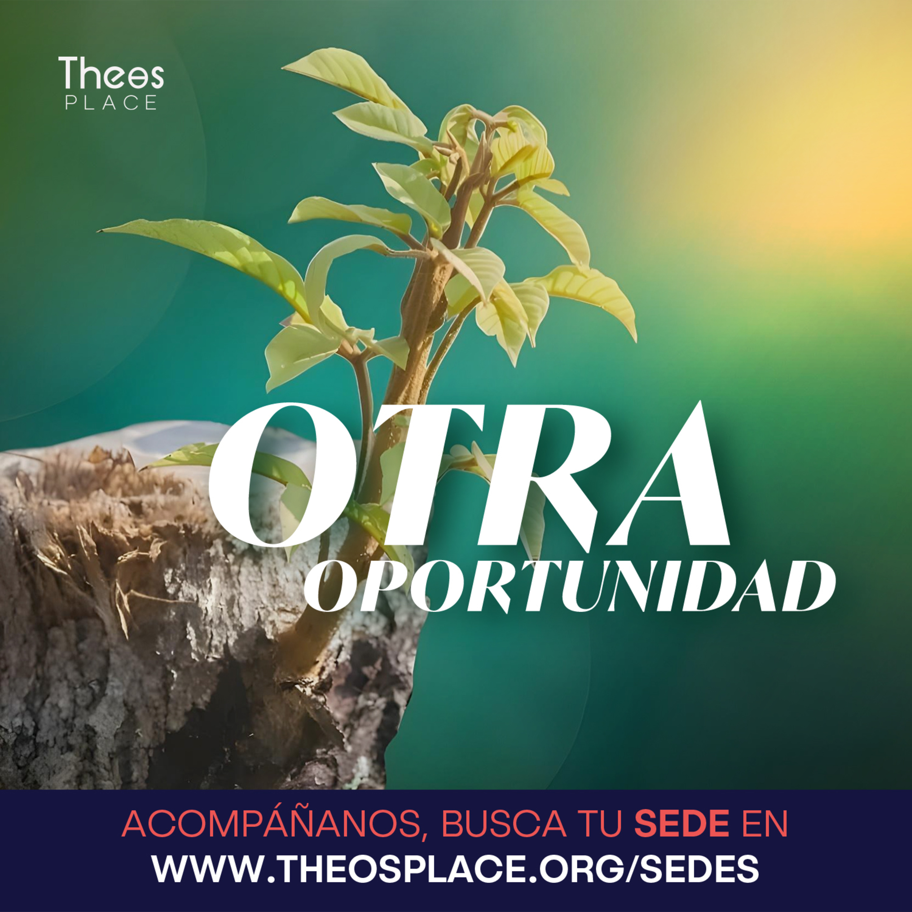 Otra Oportunidad