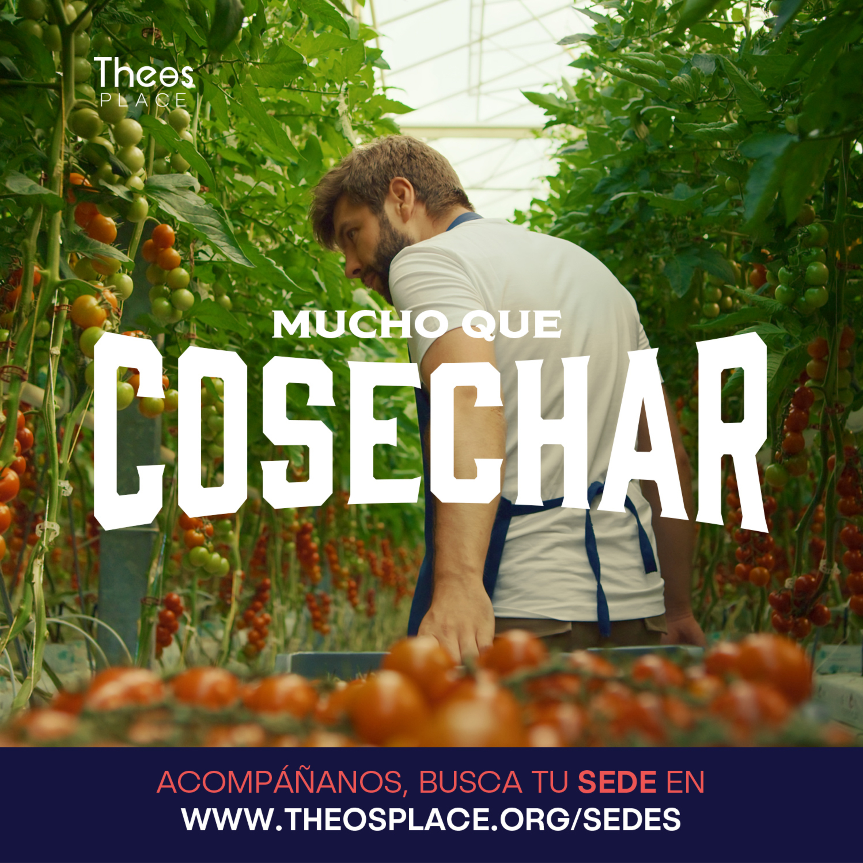 Mucho Que Cosechar