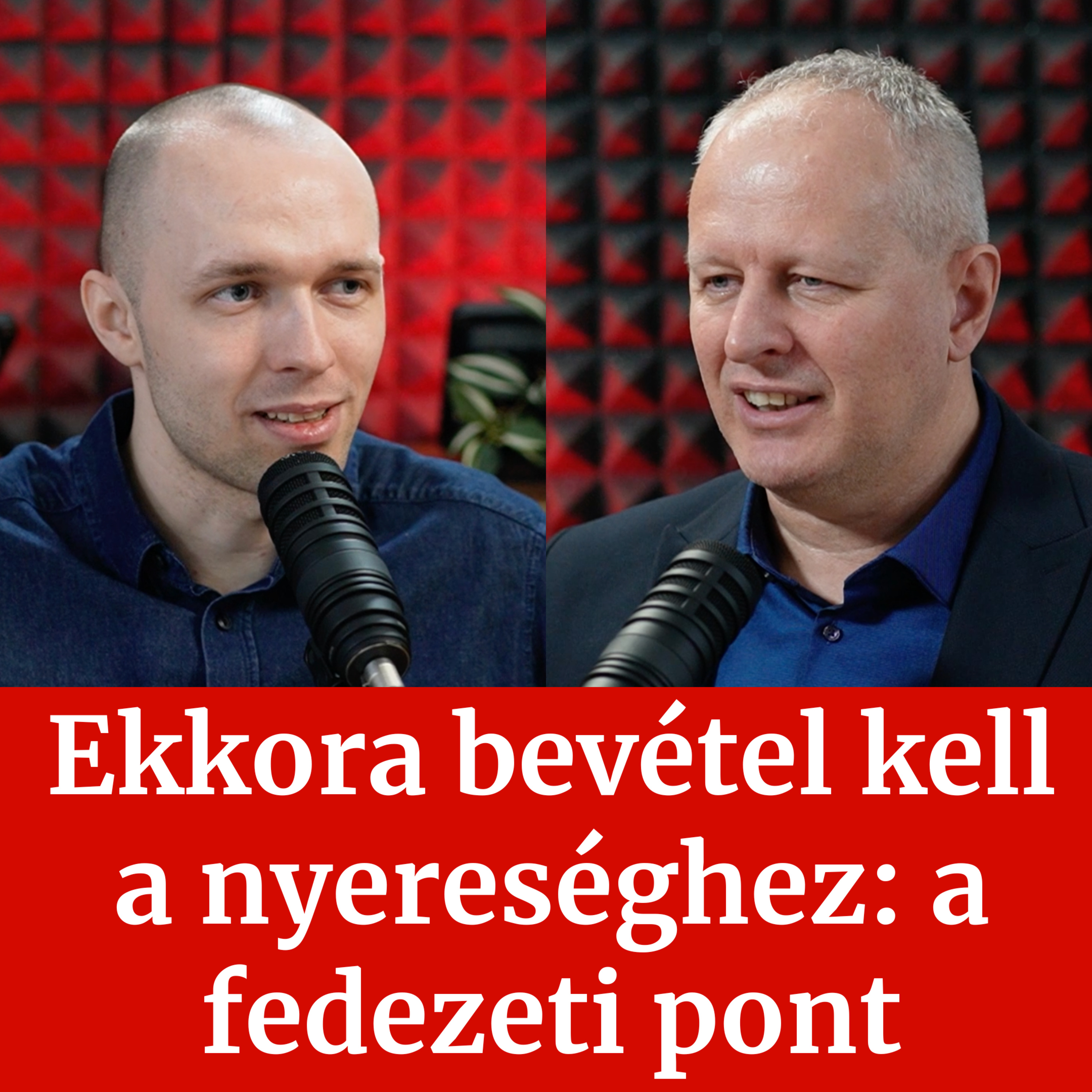 Nyereséges Vállalkozás Podcast