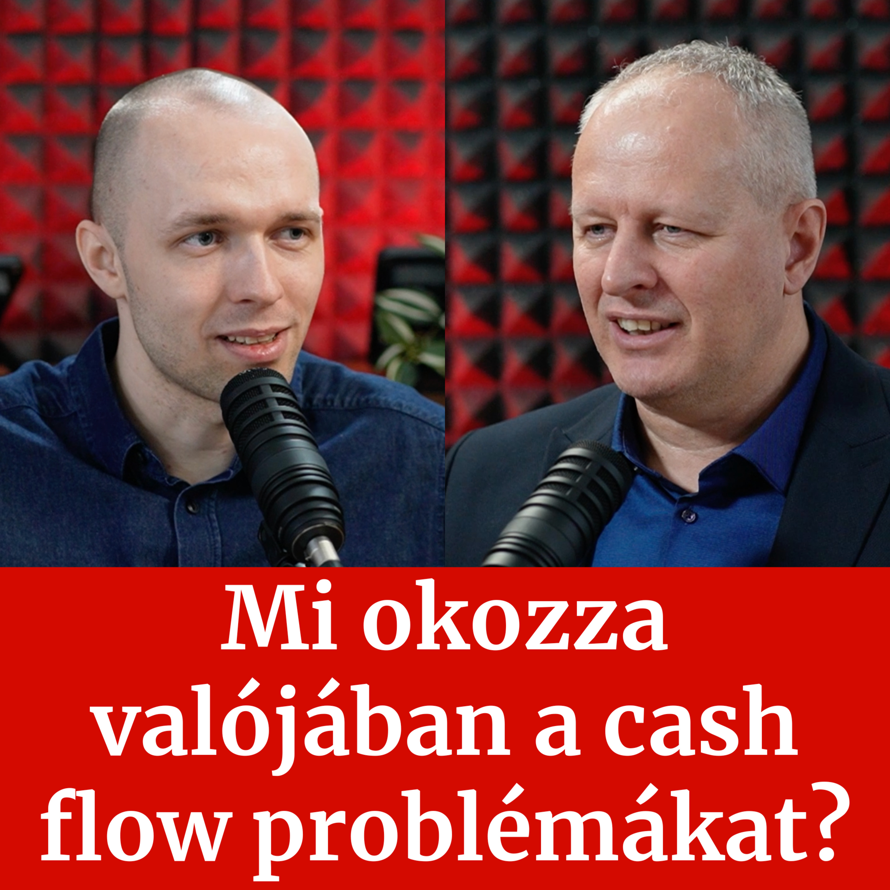 Nyereséges Vállalkozás Podcast