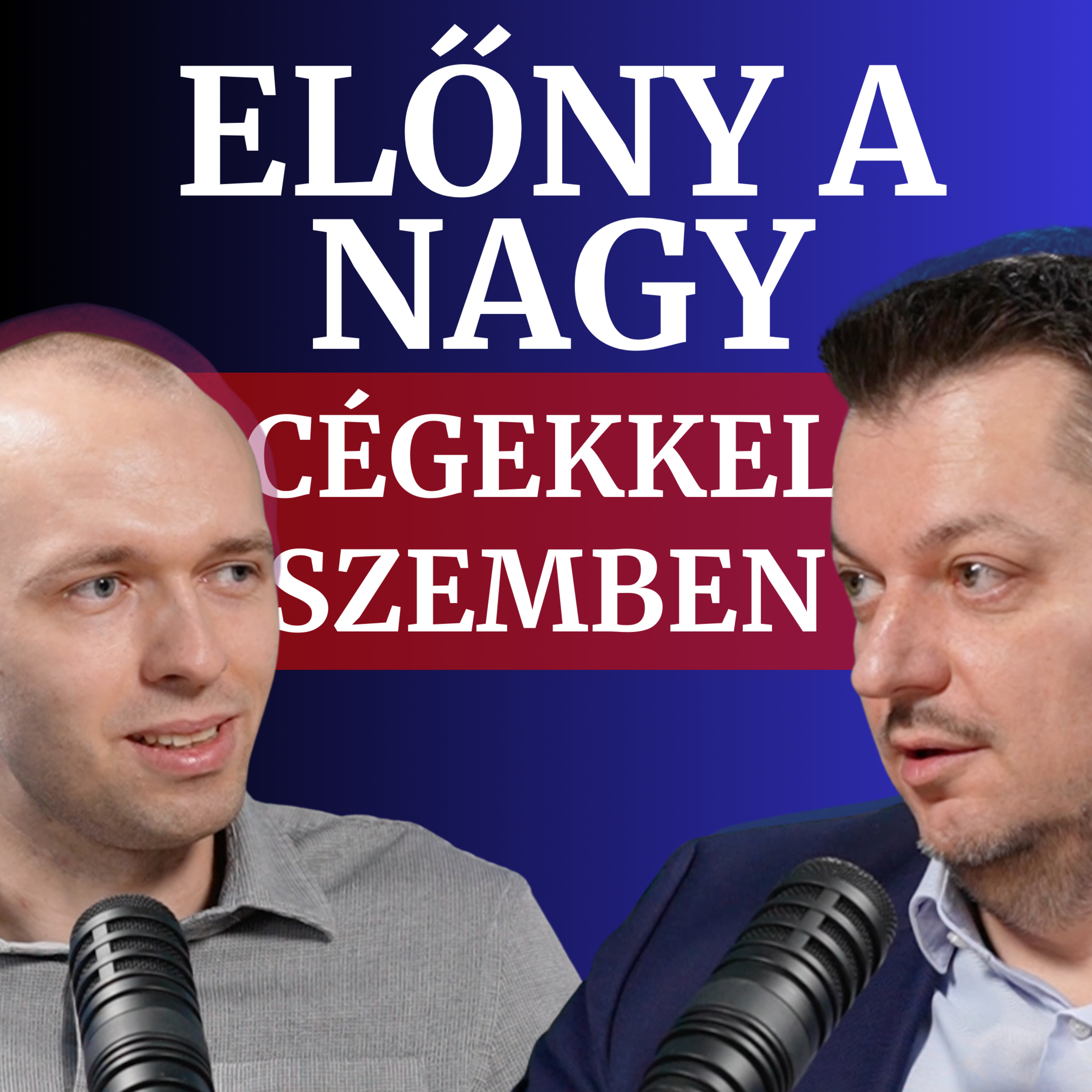 Nyereséges Vállalkozás Podcast