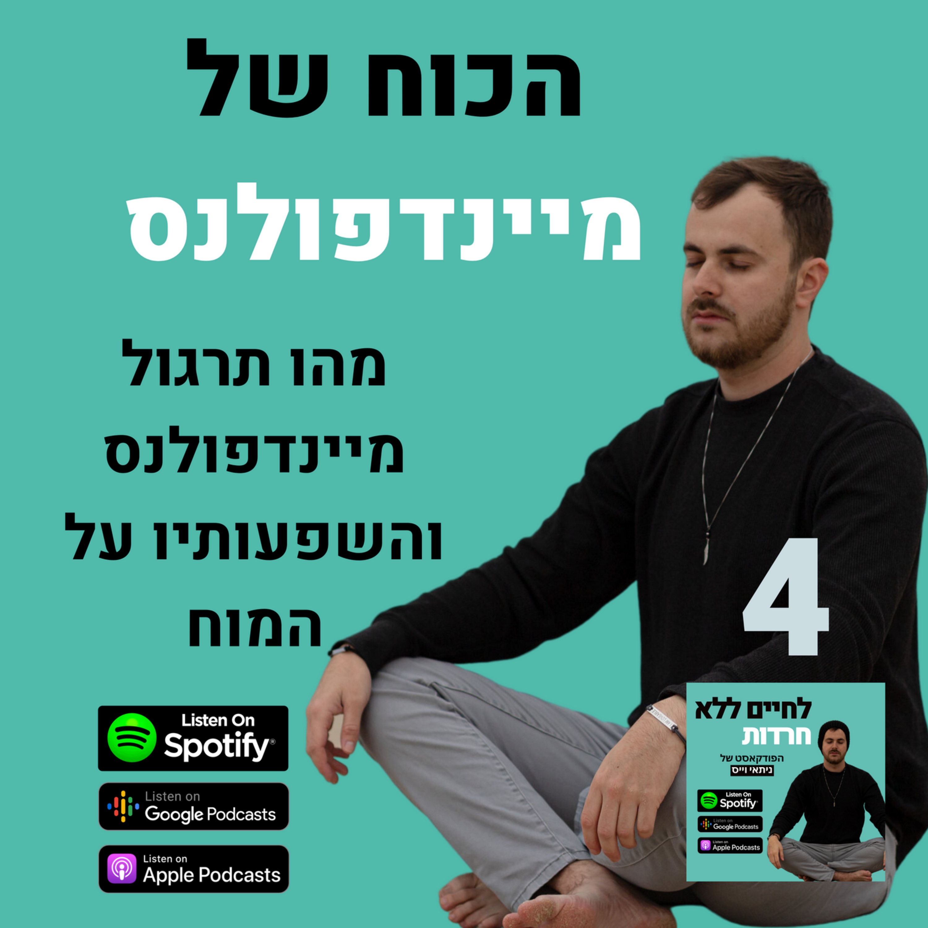 פרק 4: הכוח של מיינדפולנס