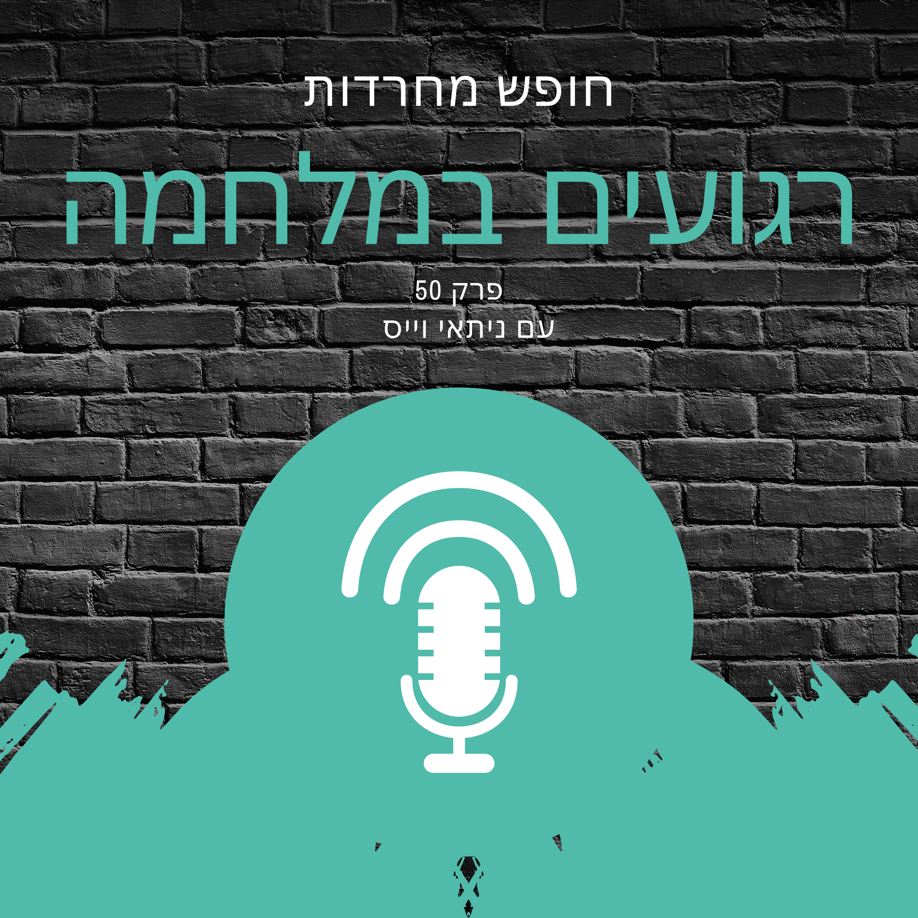 פרק 50: רגועים במלחמה