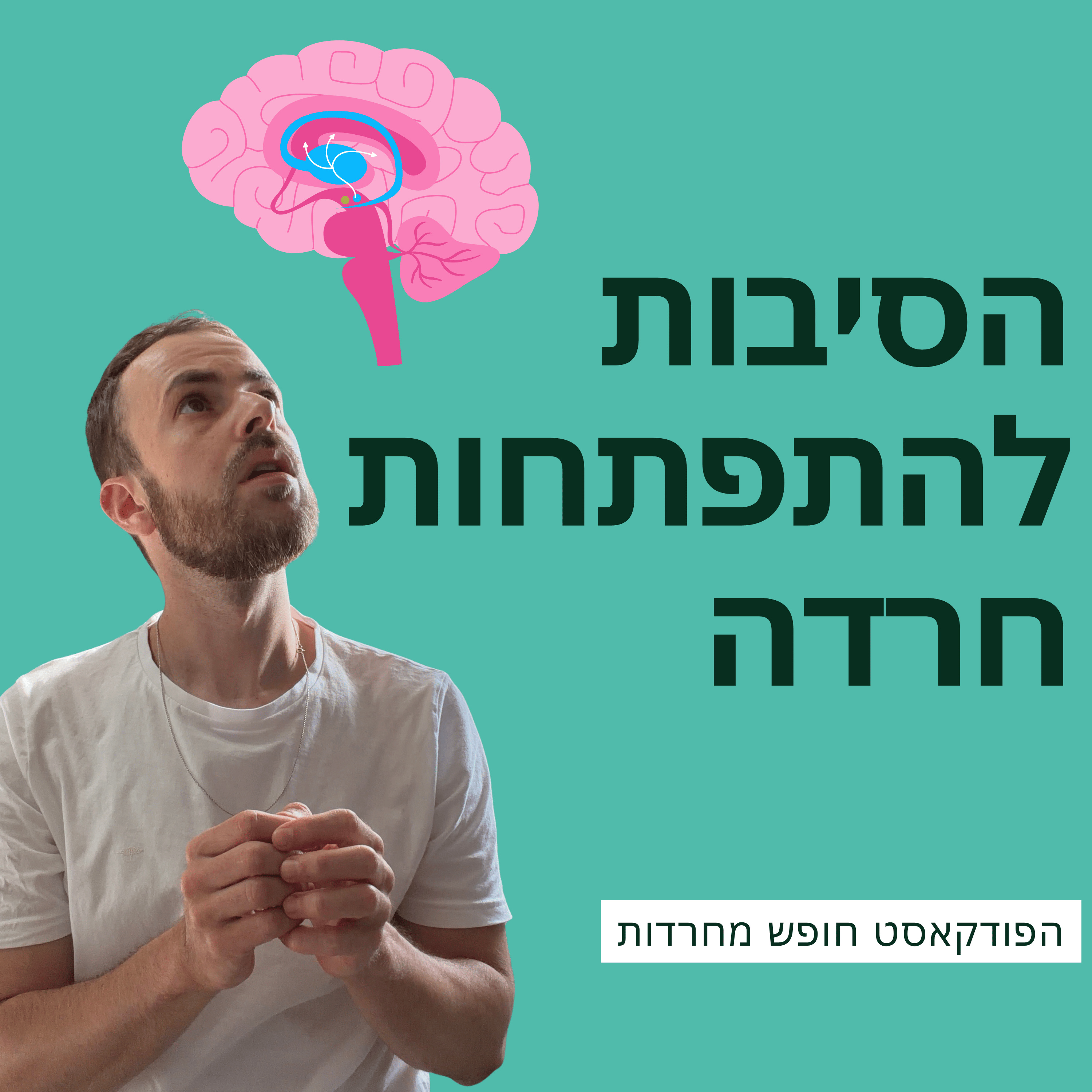 פרק 64: הסיבות להתפתחות חרדה episode artwork